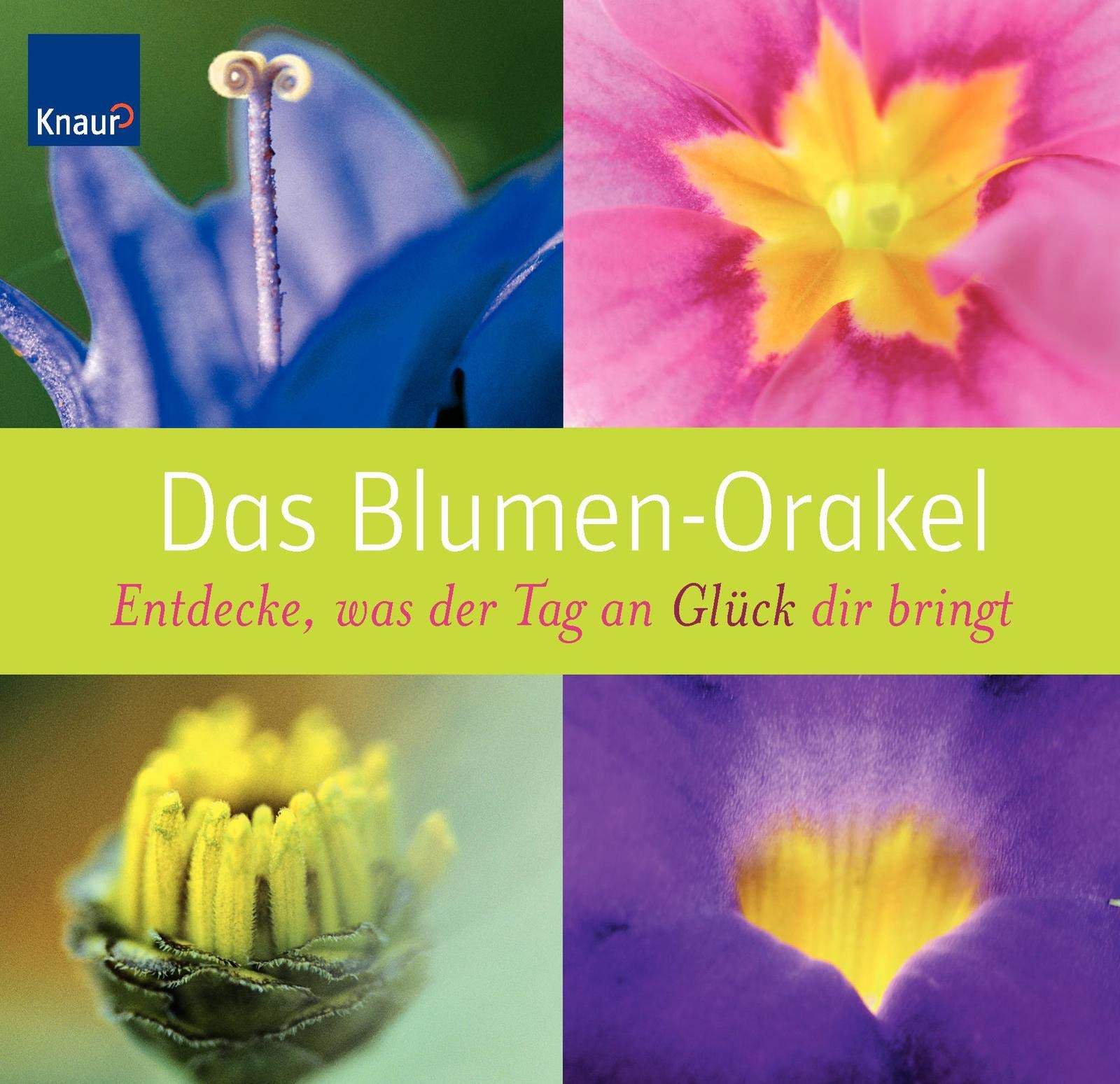 Das Blumen-Orakel: Entdecke, was der Tag an Glück dir bringt Lifestyle