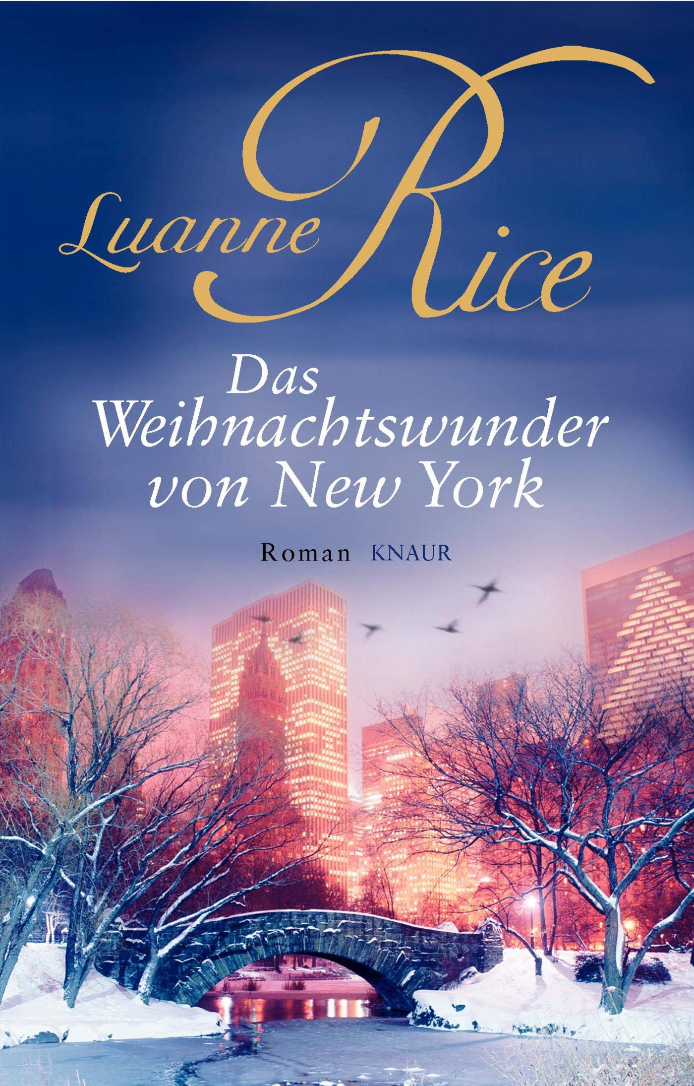 Das Weihnachtswunder von New York Contemporary literature