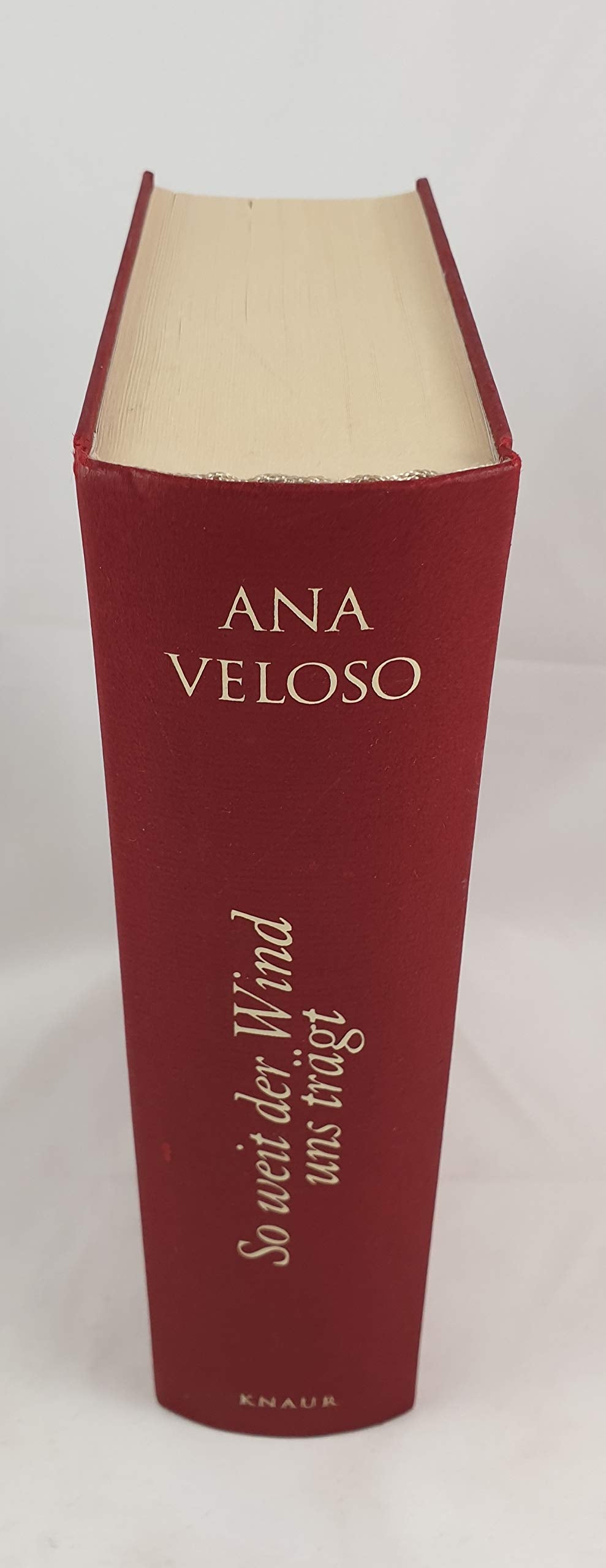 So weit der Wind uns trägt: Roman Contemporary literature
