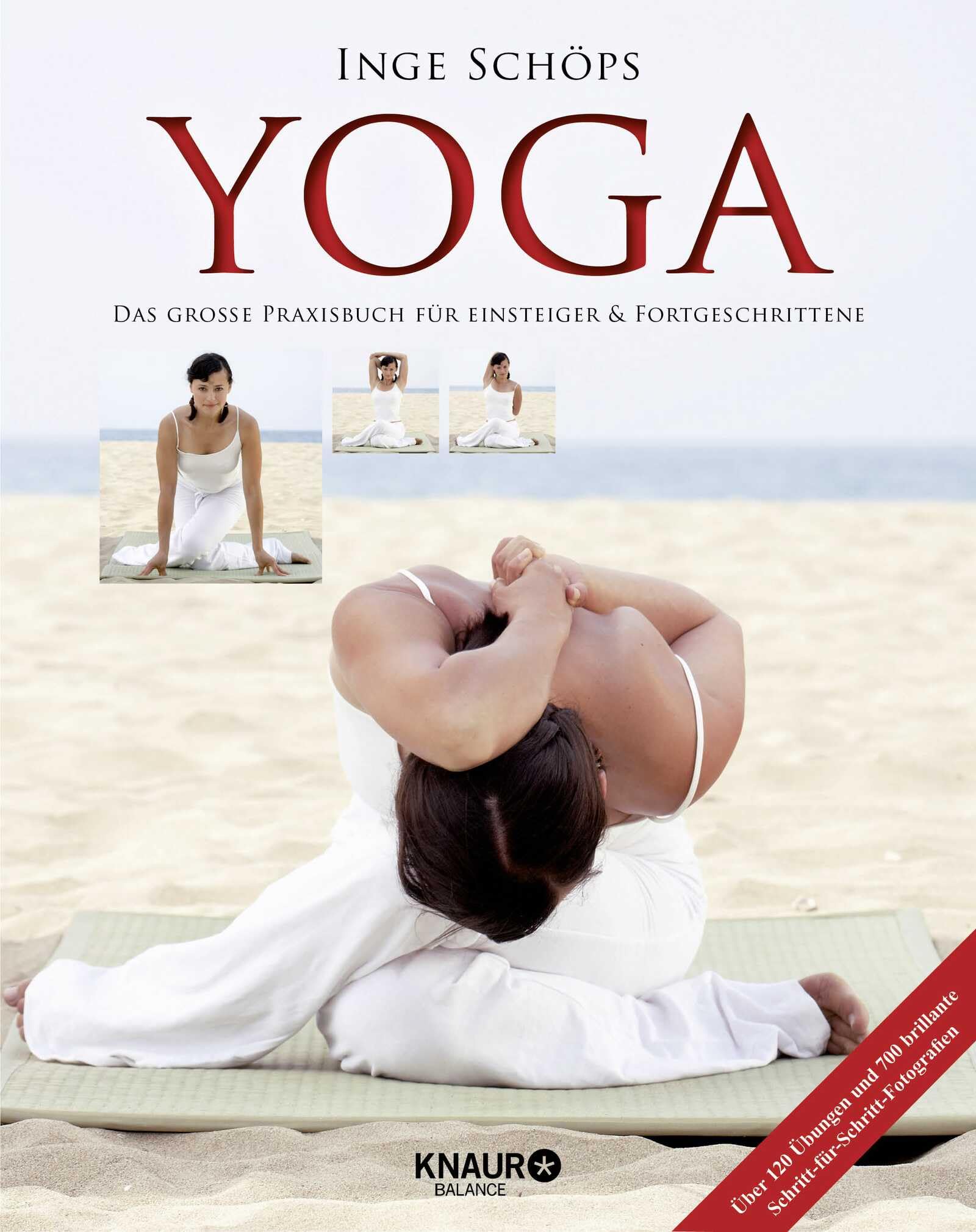 Yoga - Das große Praxisbuch für Einsteiger & Fortgeschrittene Business, Finance & Career