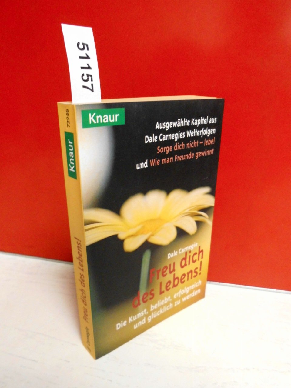 Freu dich des Lebens!: Die Kunst, beliebt, erfolgreich und glücklich zu werden (Knaur Taschenbücher. Praxis Leben Lernen) Lifestyle