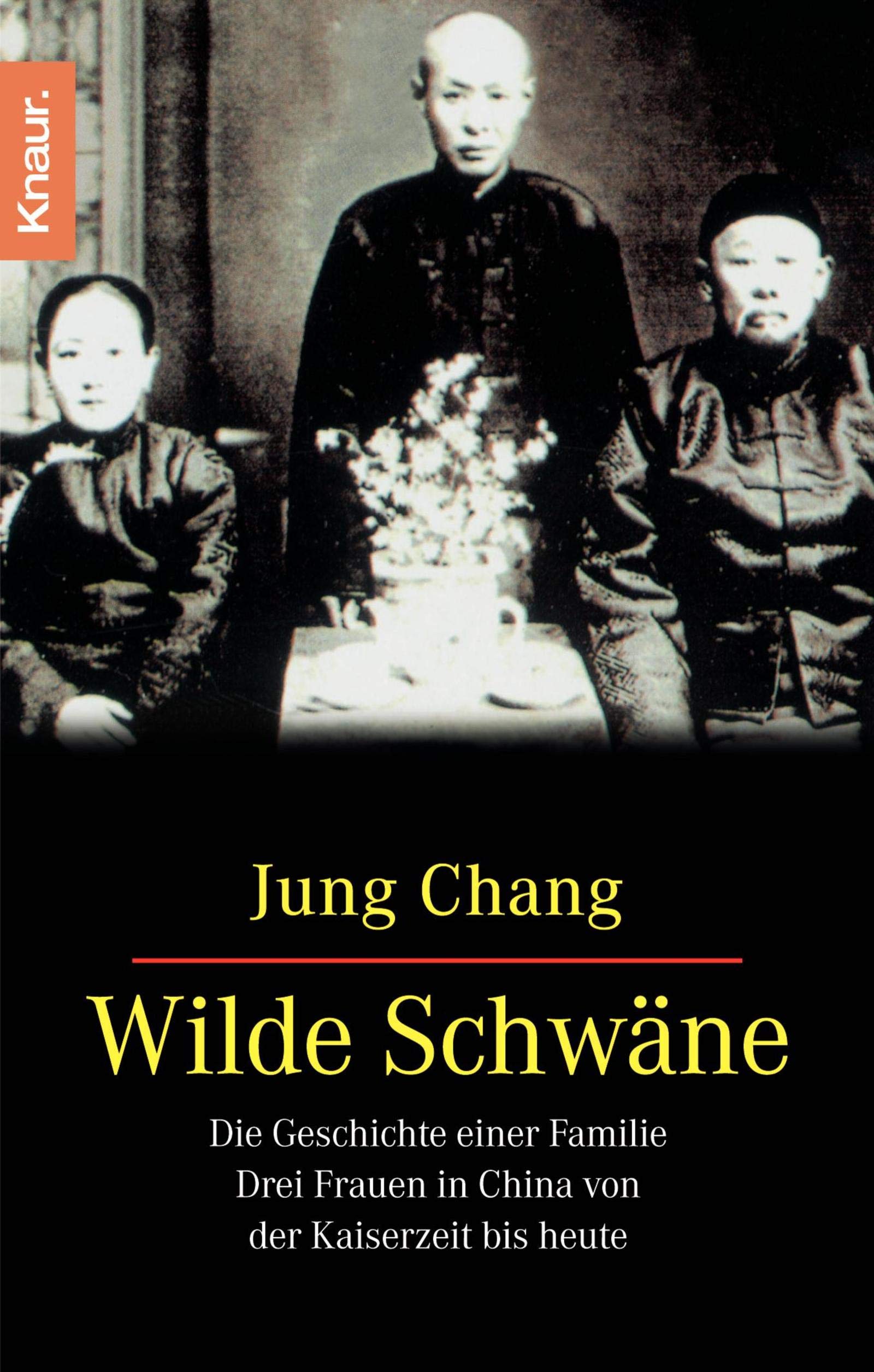 Wilde Schwäne. Die Geschichte einer Familie. Drei Frauen in China von der Kaiserzeit bis heute Politics & Society