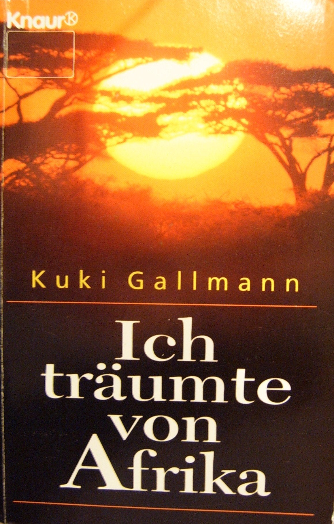 Ich träumte von Afrika (Knaur Taschenbücher. Ratgeber) Contemporary literature