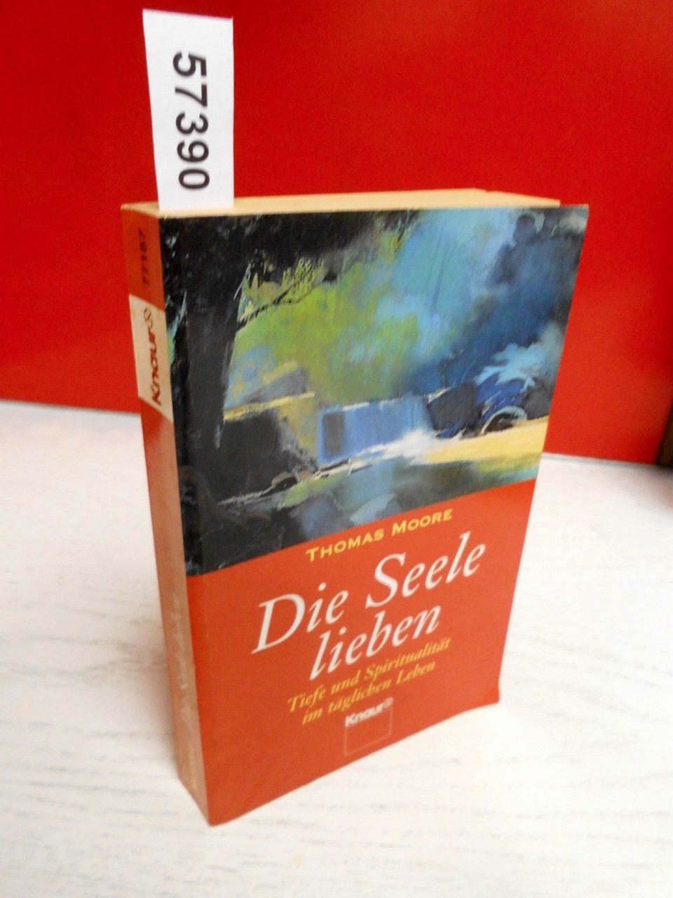 Die Seele lieben: Tiefe und Spiritualität im täglichen Leben (Knaur Taschenbücher. Esoterik) Lifestyle