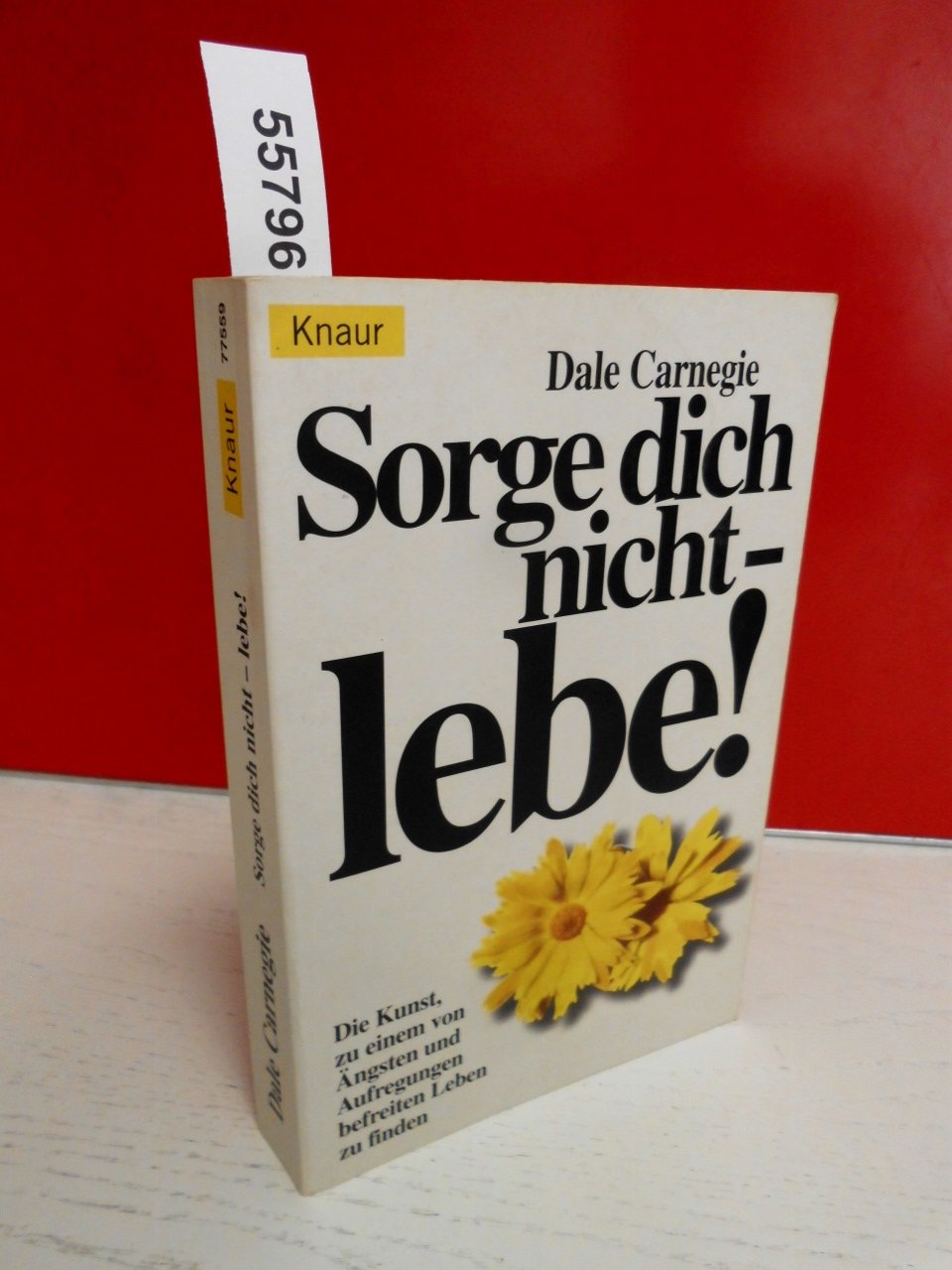 Sorge dich nicht, lebe! Die Kunst zu einem von Ängsten befreitem Leben zu finden Lifestyle