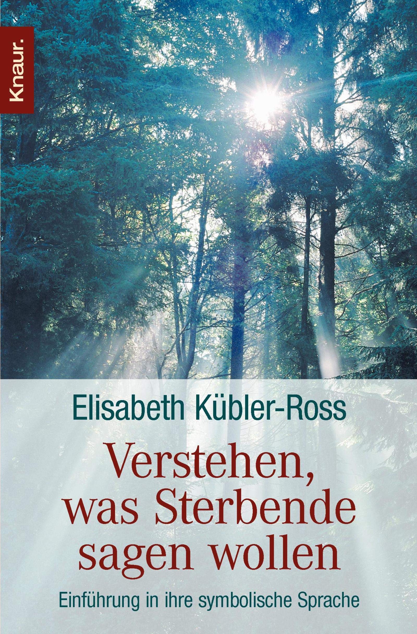 Verstehen, was Sterbende sagen wollen: Einführung in ihre symbolische Sprache Social Sciences