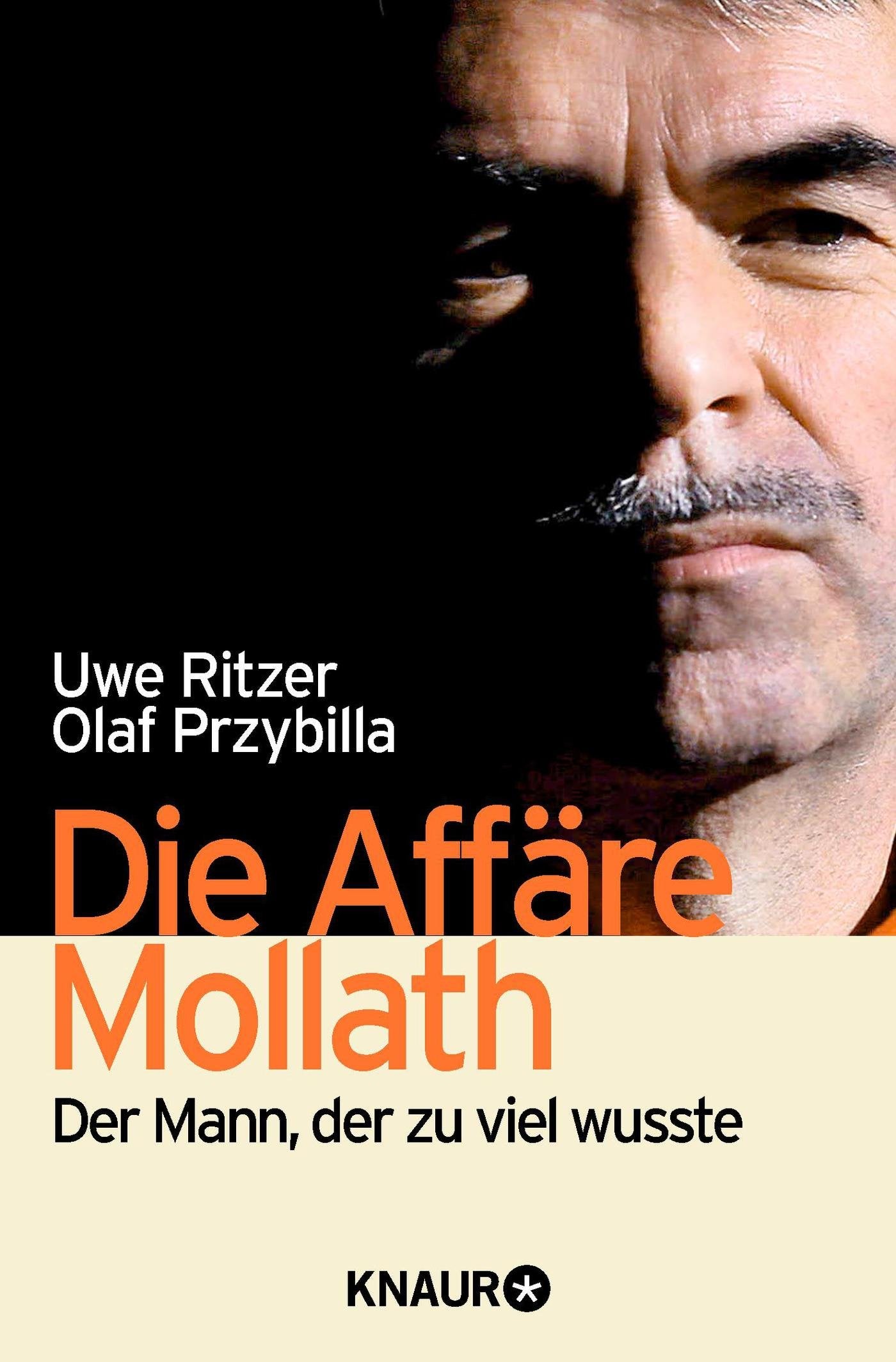Die Affäre Mollath Social Sciences