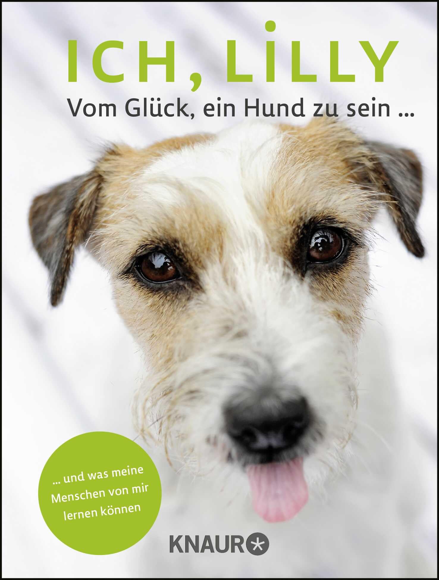 Ich, Lilly Living & Furnishing