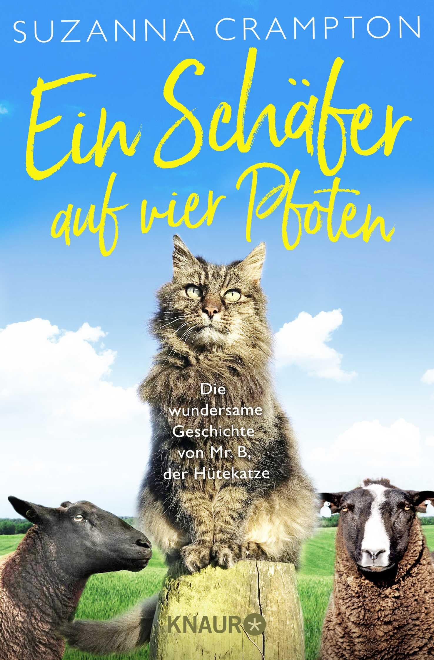 Ein Schäfer auf vier Pfoten: Die wundersame Geschichte von Mr. B, der Hütekatze Memories