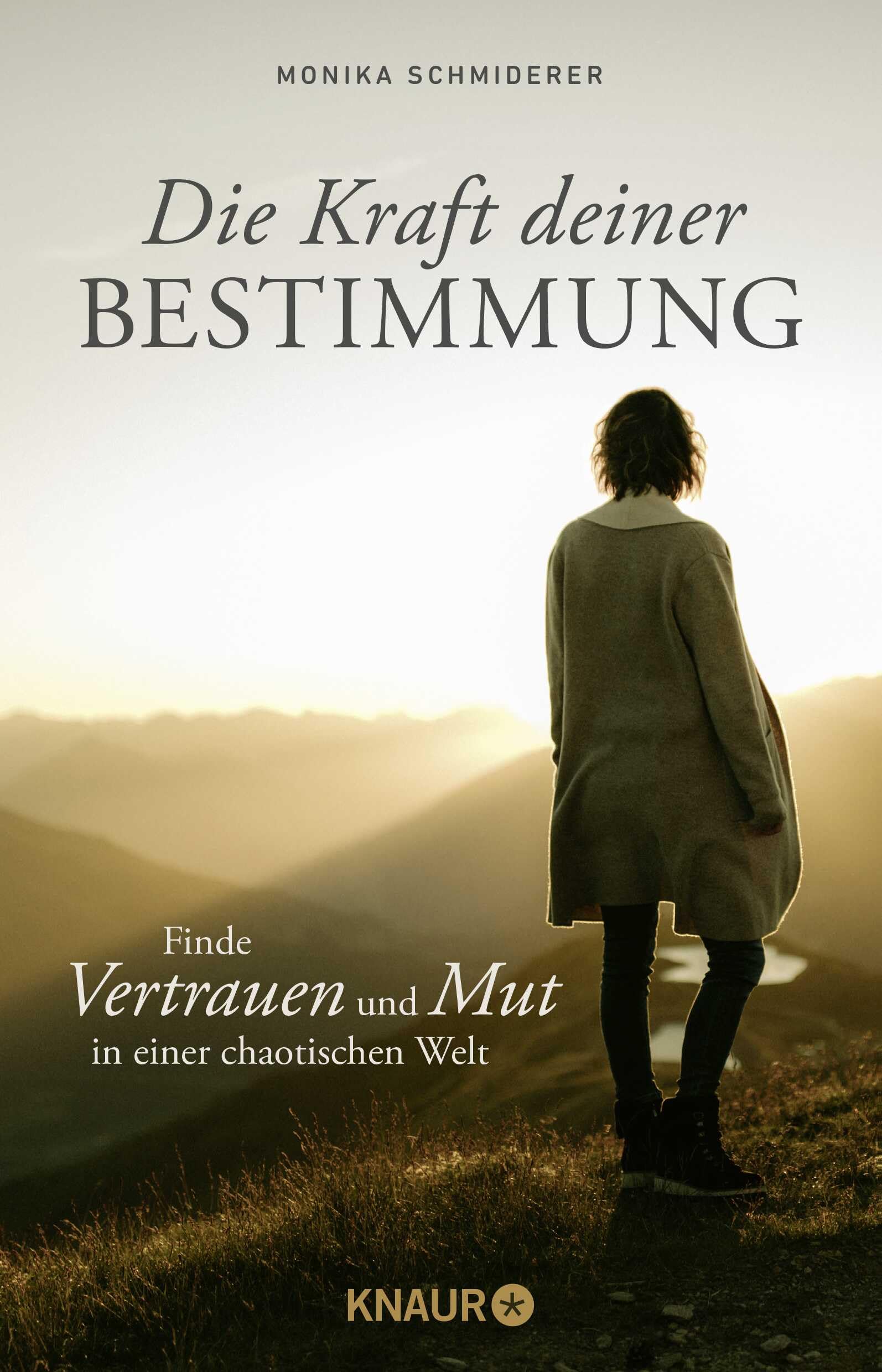 Product Image: Die Kraft deiner Bestimmung