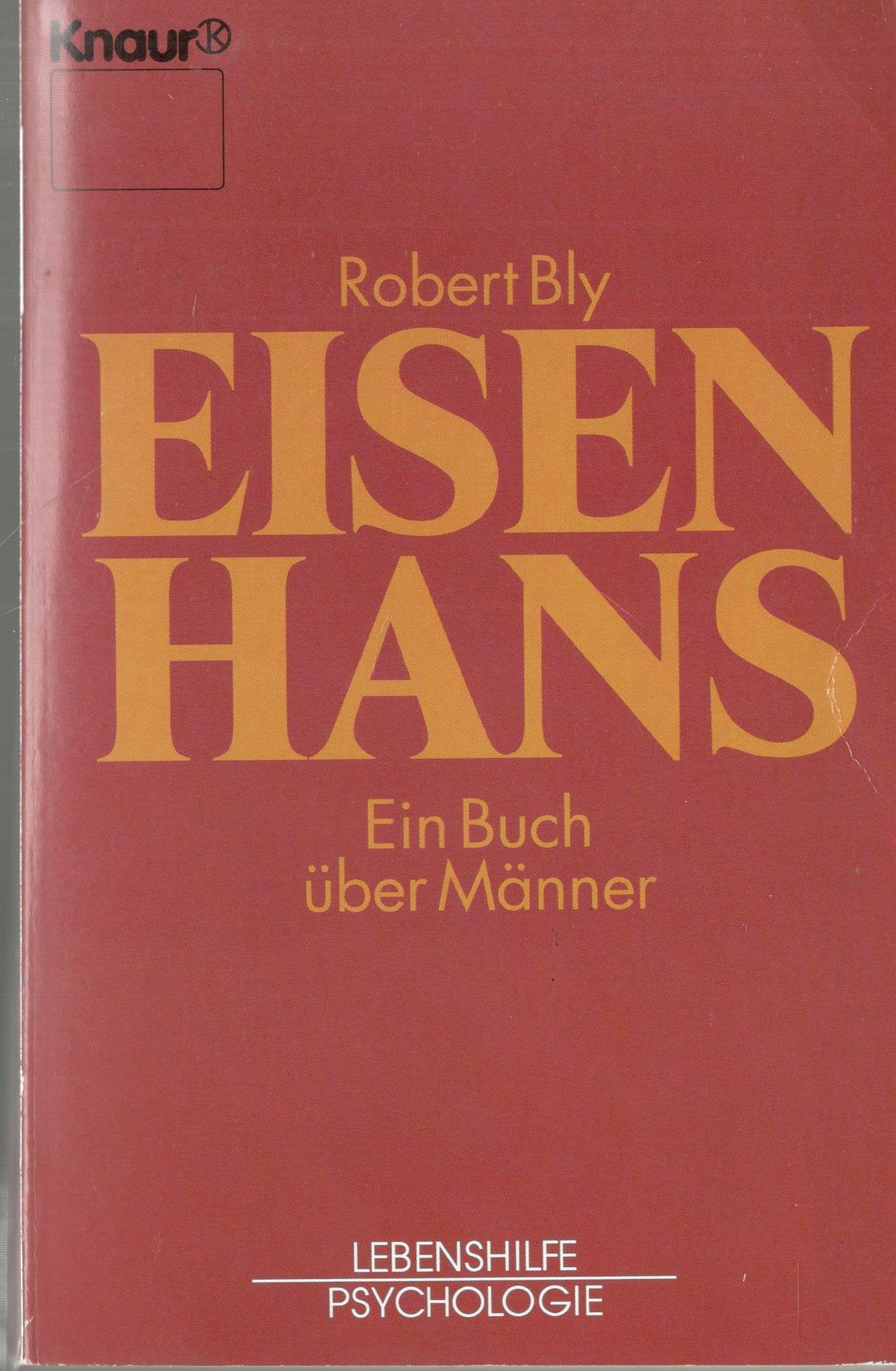 Eisenhans. Ein Buch über Männer Social Sciences