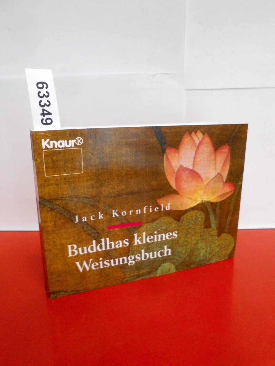 Buddhas kleines Weisungsbuch (Knaur Taschenbücher. Esoterik) Religion & Esotericism