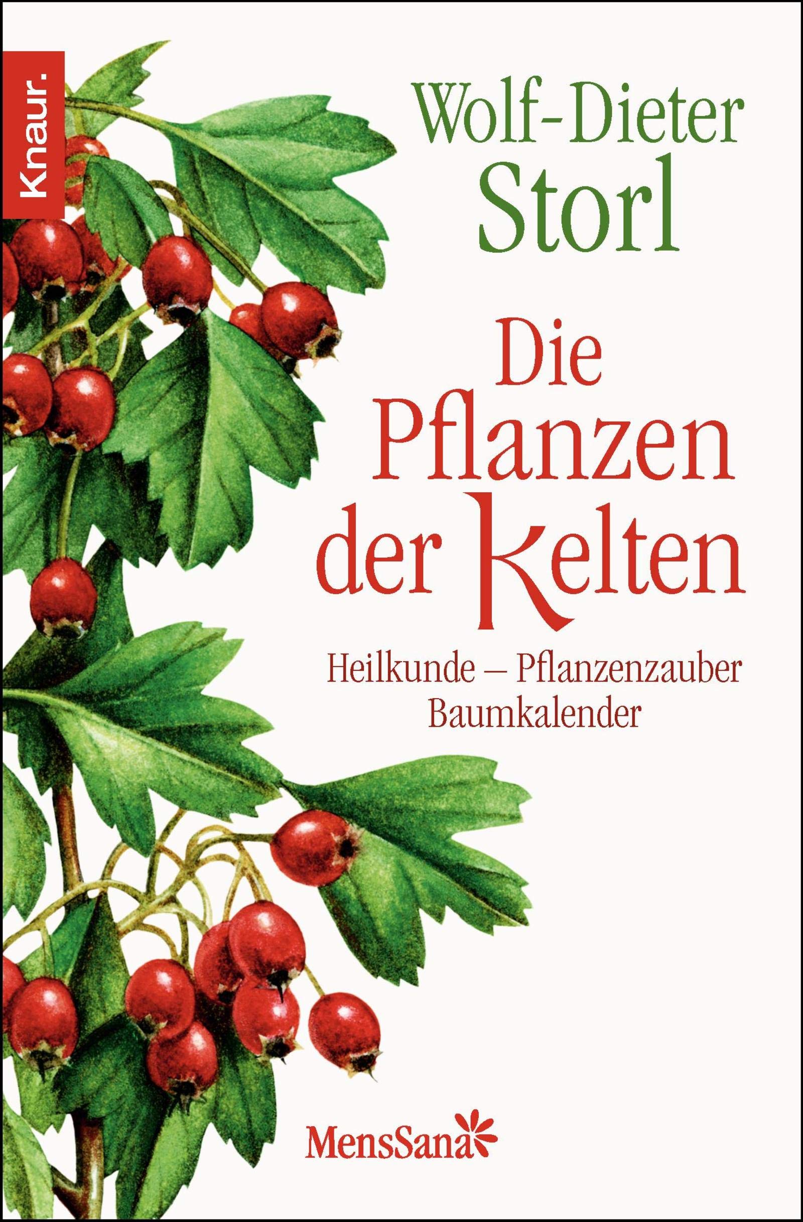 Die Pflanzen der Kelten: Heilkunde - Pflanzenzauber - Baumkalender Religion & Esotericism