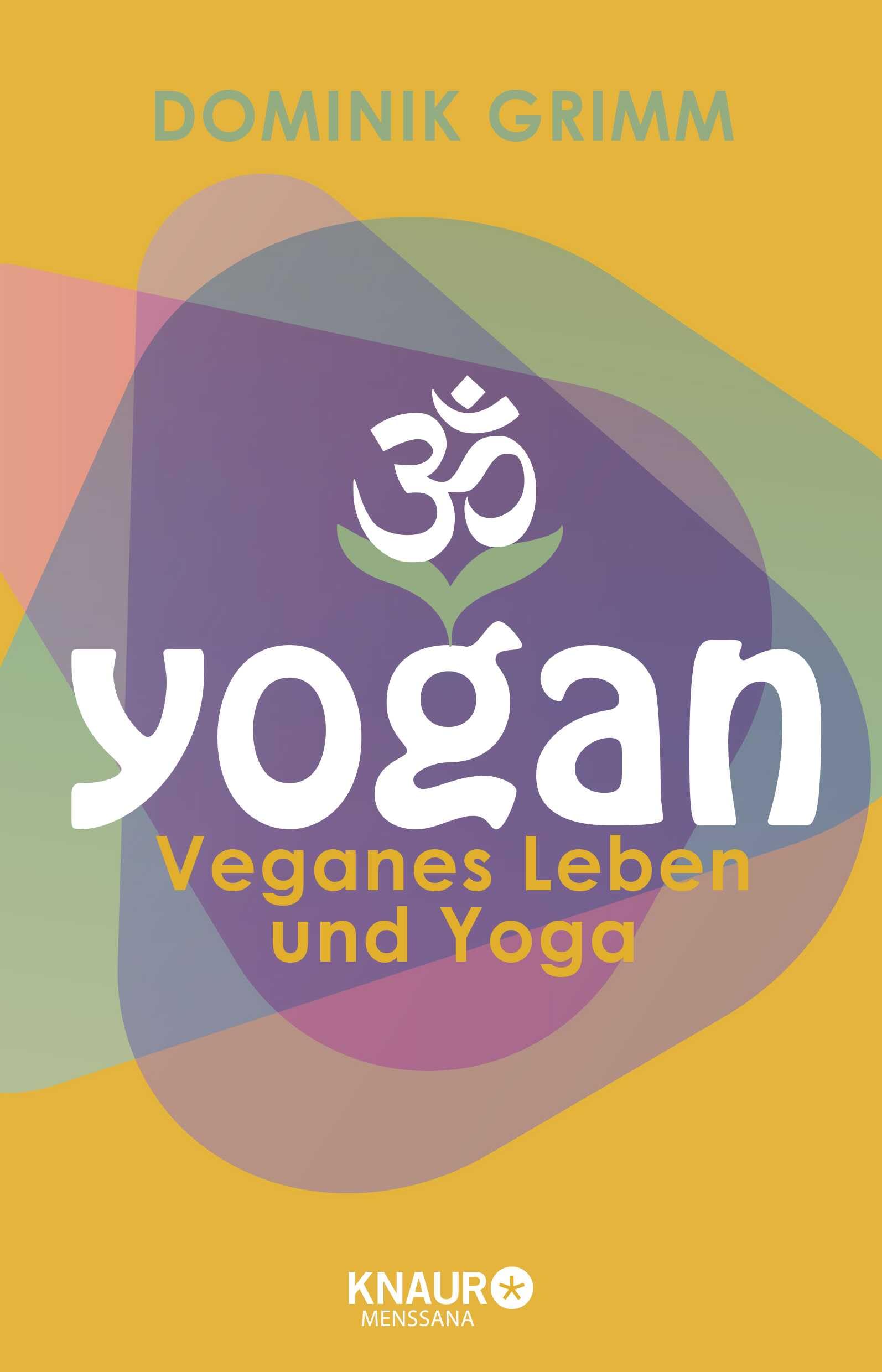 Yogan Nintendo DS