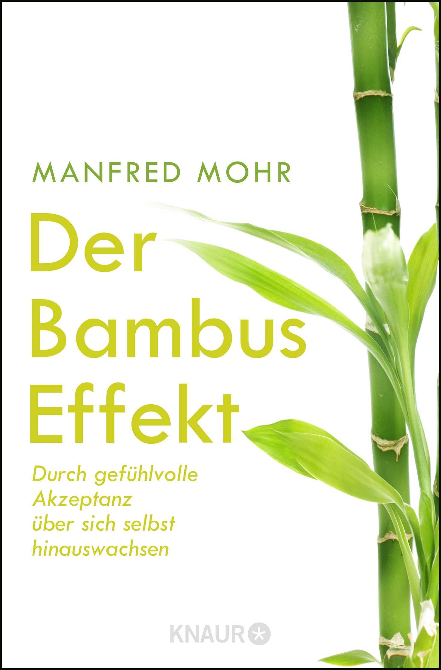 Der Bambus-Effekt Business, Finance & Career Books