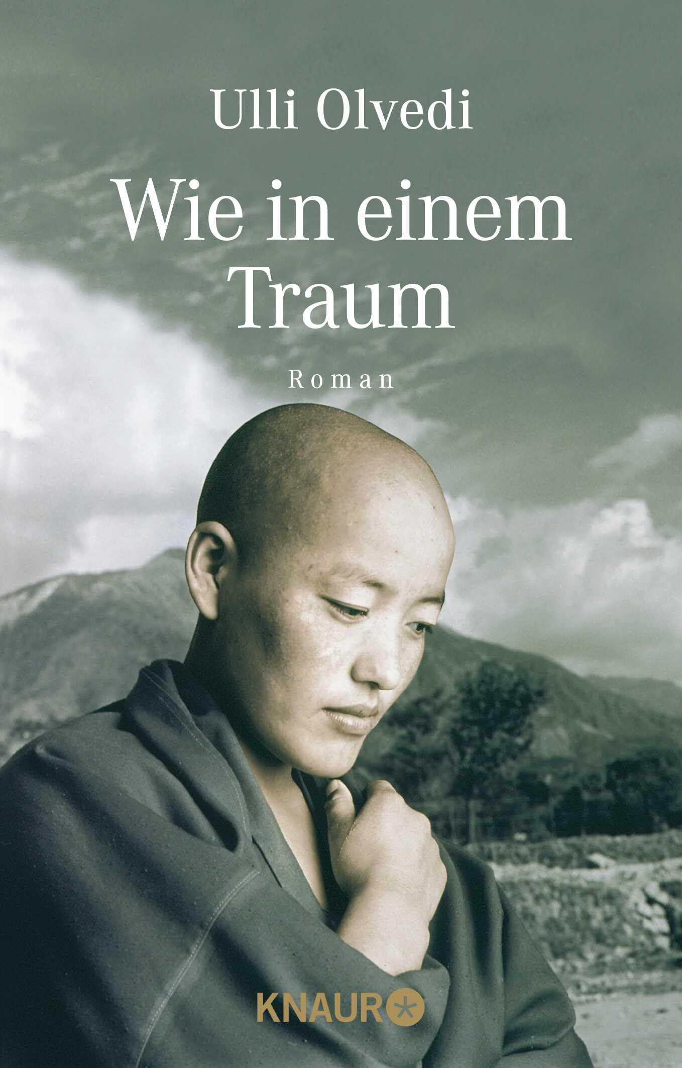 Wie in einem Traum Contemporary literature Books