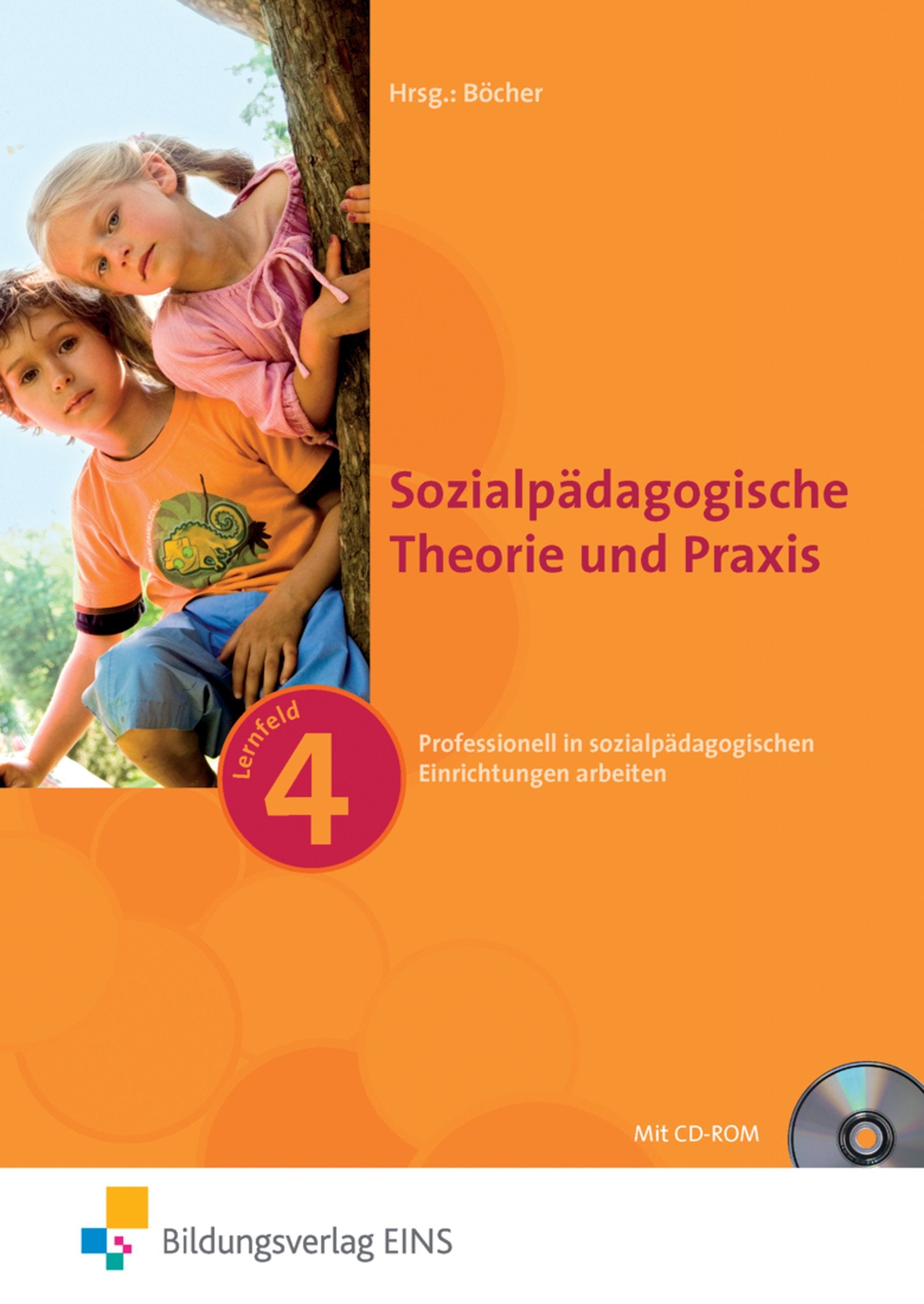 Sozialpädagogische Theorie und Praxis: Ausgabe für die Fachschule für Sozialpädagogik / Fachschule für Sozialpädagogik: Band 3 Study Guides