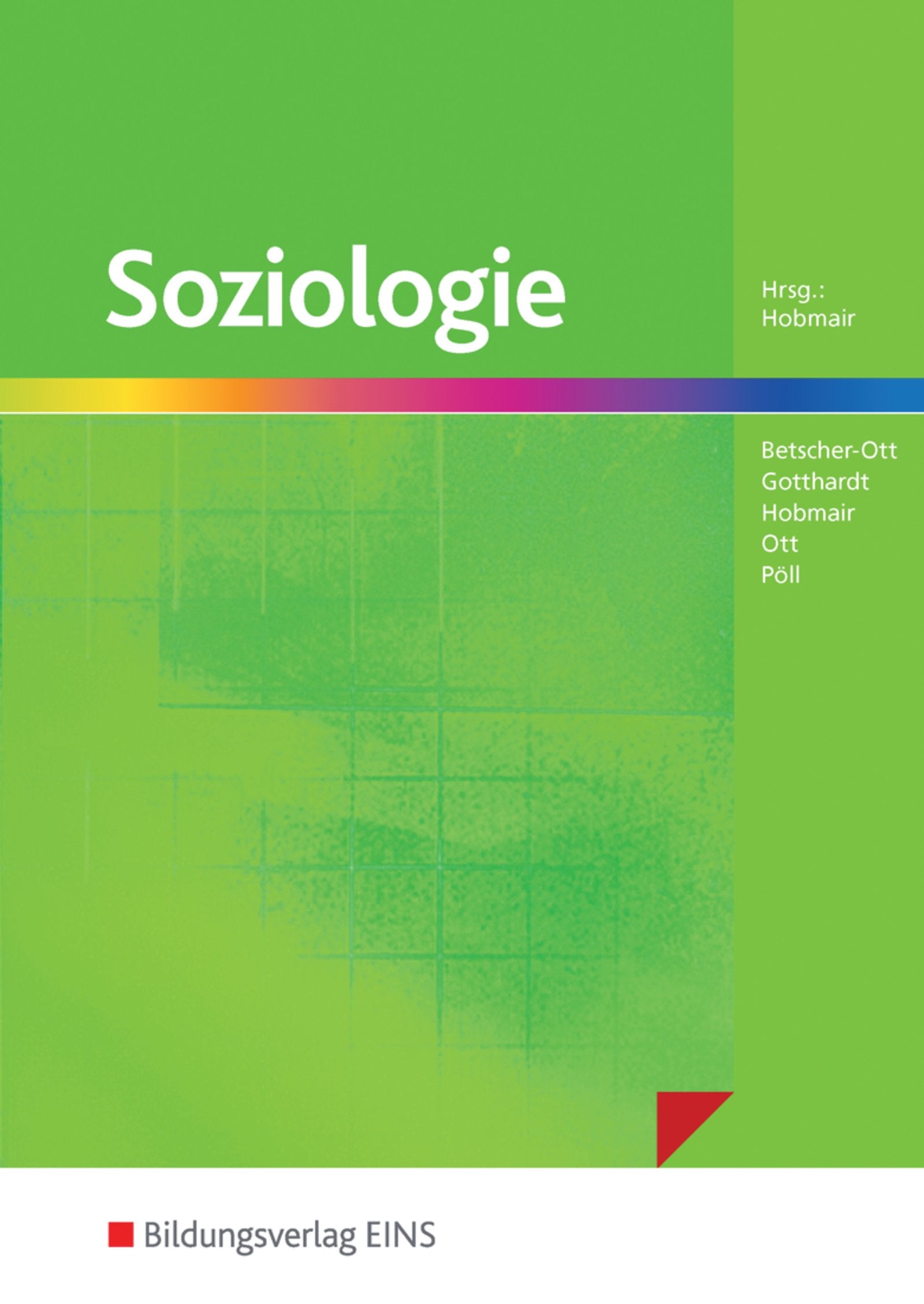 Soziologie. Lehr-/Fachbuch Study Guides