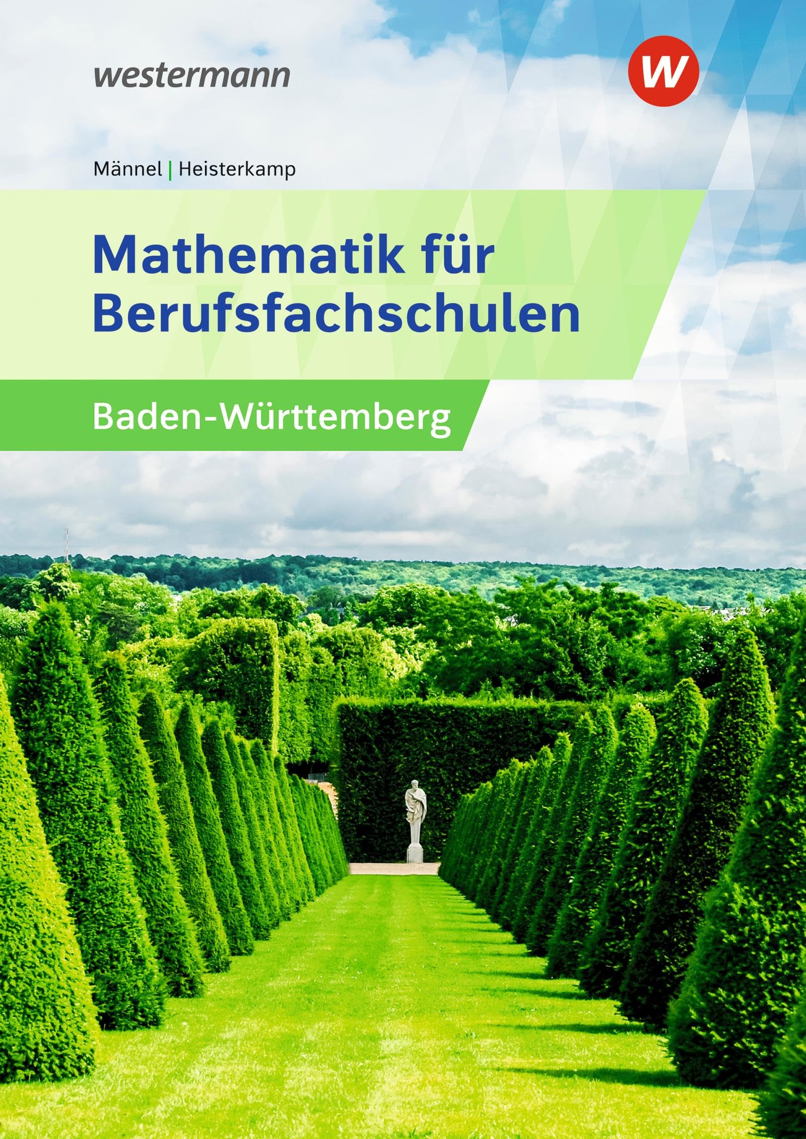 Mathematik für Berufsfachschulen. Schulbuch. Algebra und Geometrie Business, Finance & Career
