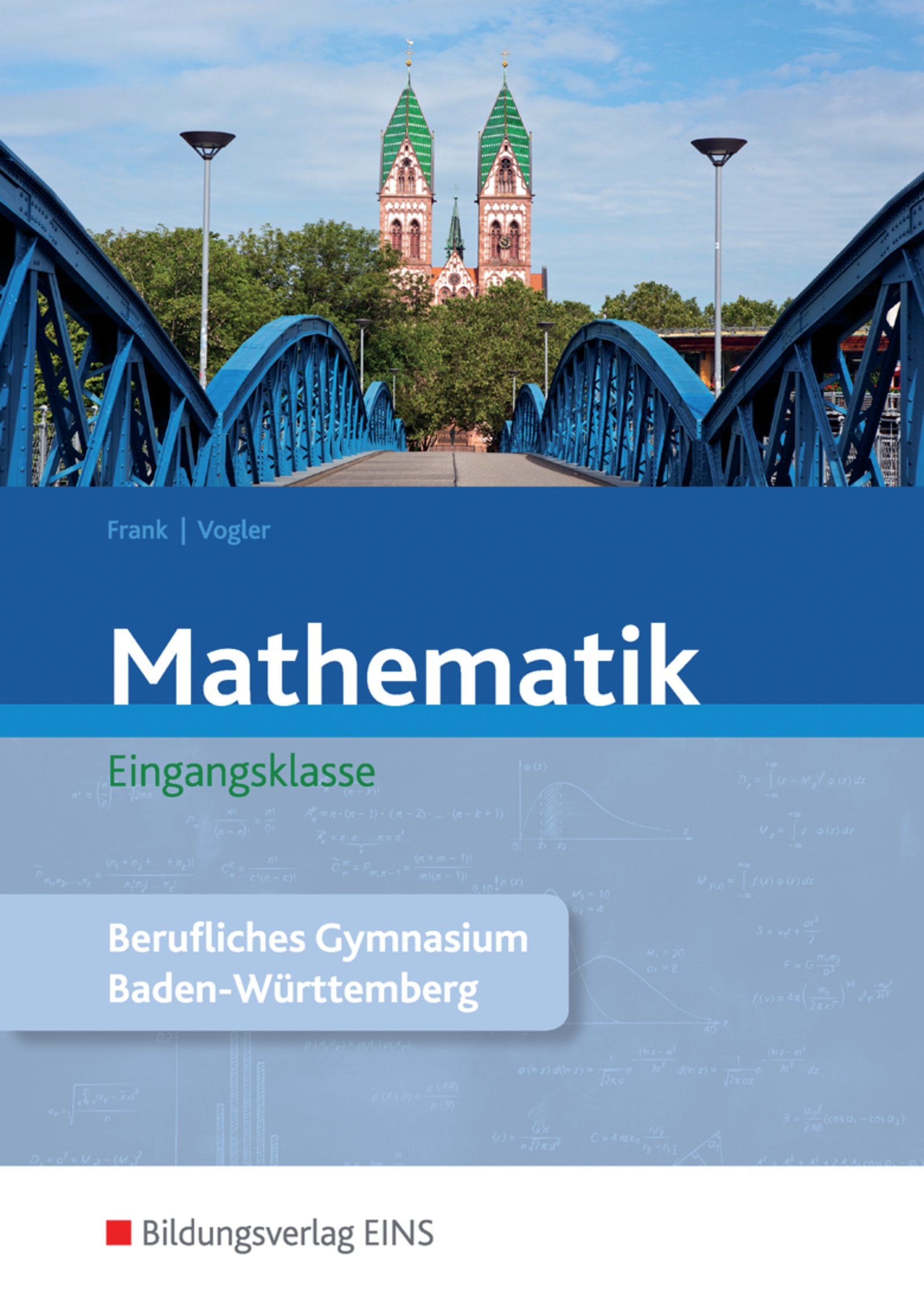 Mathematik / Mathematik - Ausgabe für das Berufliche Gymnasium in Baden-Württemberg: Ausgabe für das Berufliche Gymnasium in Baden-Württemberg / Eingangsklasse: Schülerband Study Guides