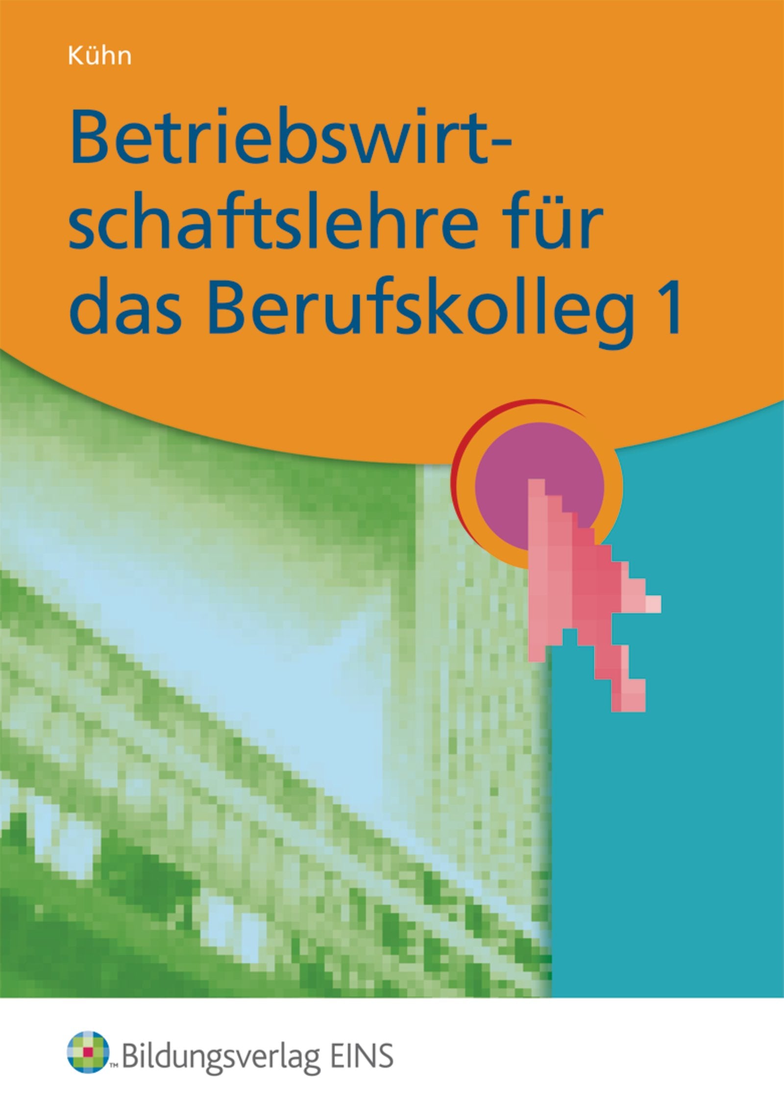 Betriebswirtschaftslehre für das Berufskolleg 1 Business, Finance & Career