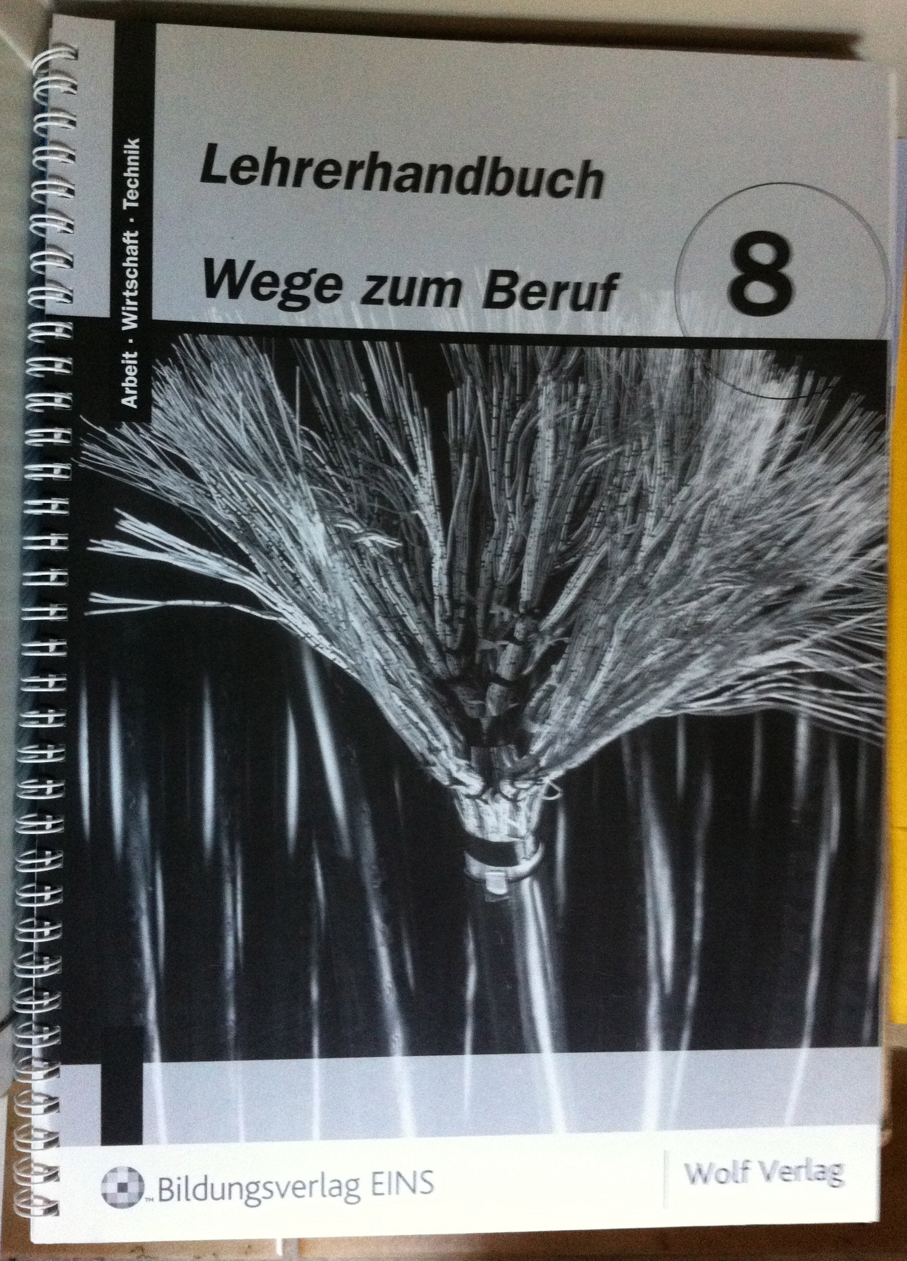 Wege zum Beruf 8: Lehrerhandbuch Lehrerhandbuch (Wege zum Beruf 5 bis 10 - Ausgabe zum neuen Lehrplan Bayern / Wege zum Beruf 8) Study Guides