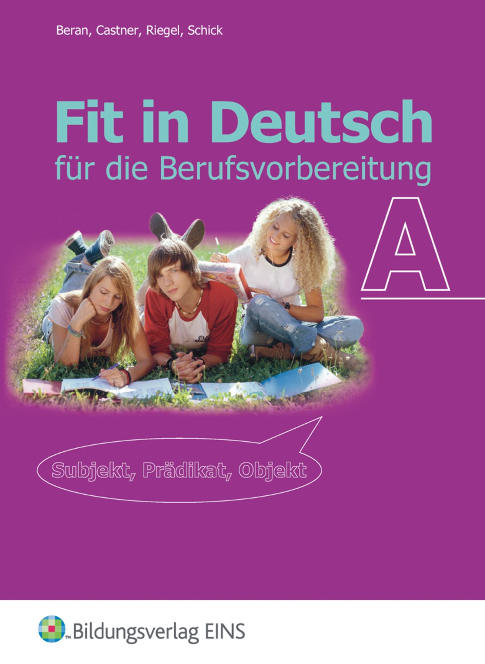 Fit in Deutsch A. Lehr- / Fachbuch Study Guides