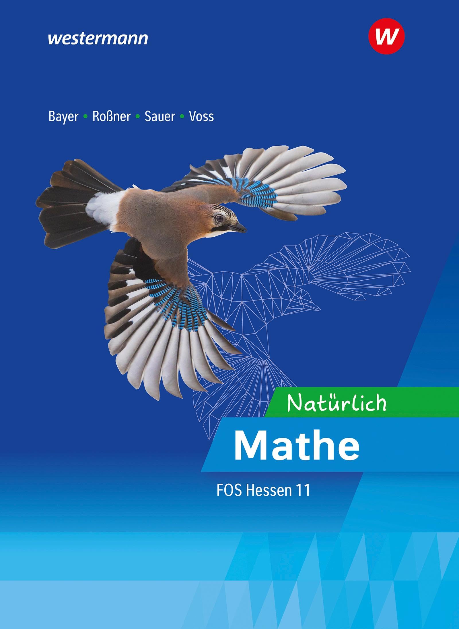 Natürlich Mathe - Mathematik für die Fachoberschulen in Hessen Study Guides