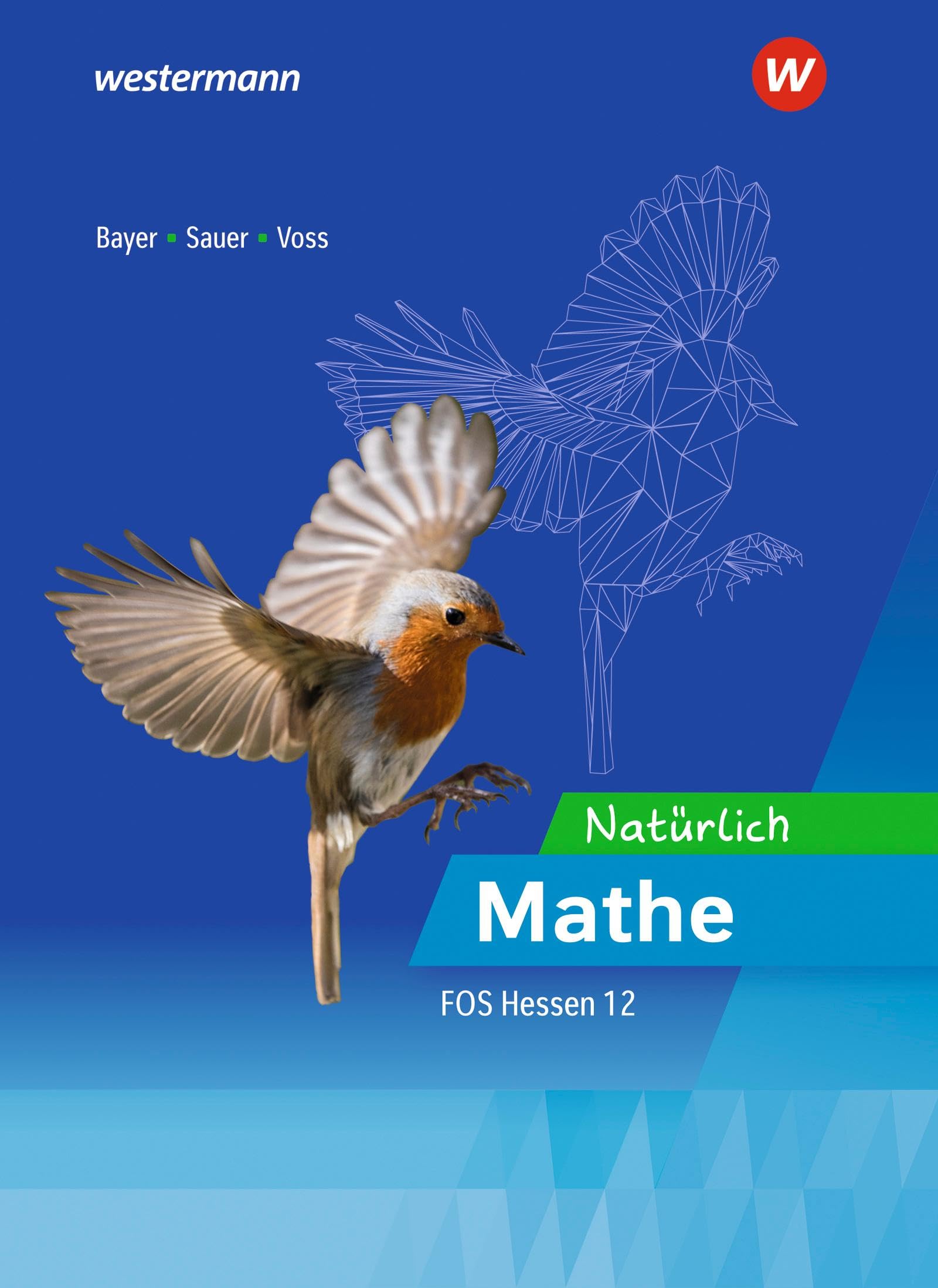 Natürlich Mathe - Mathematik für die Fachoberschulen in Hessen book