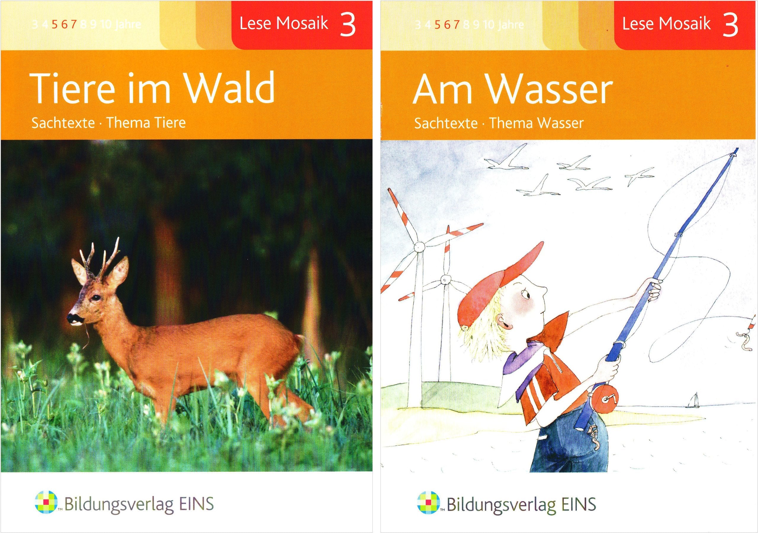Lese Mosaik, Sachtexte, Stufe 3, 8 Hefte: Unterrichtsmaterialien für den differenzierenden Unterricht Deutsch / Sachtexte Niveau 3: Einfacher Text ... für den differenzierenden Unterricht Deutsch) Study Guides