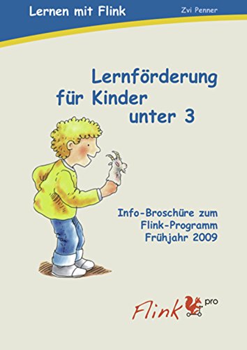 Infobroschüre Flink: Lernen mit Flink Begleitbuch Learning & Reference