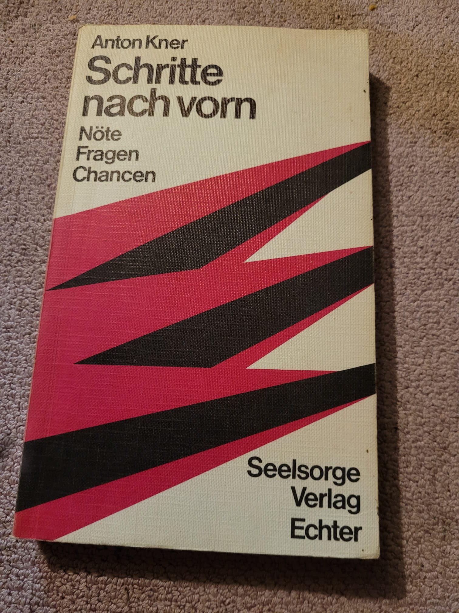 Schritte nach vorn: Nöte, Fragen, Chancen Books