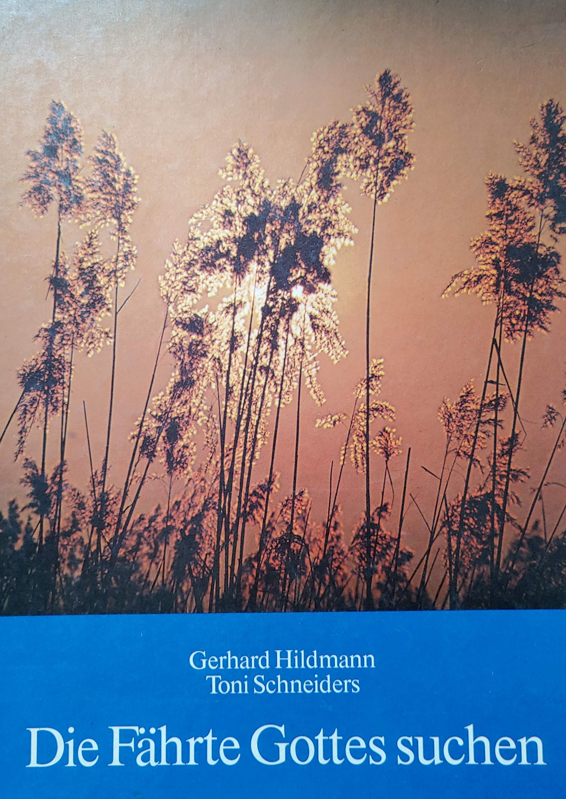 Die Fährte Gottes suchen Books