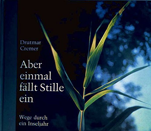 Aber einmal fällt Stille ein: Wege durch ein Inseljahr Books