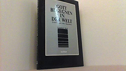 Gott begegnen in der Welt: Erfahrungen des Glaubens Professional & Reference Books
