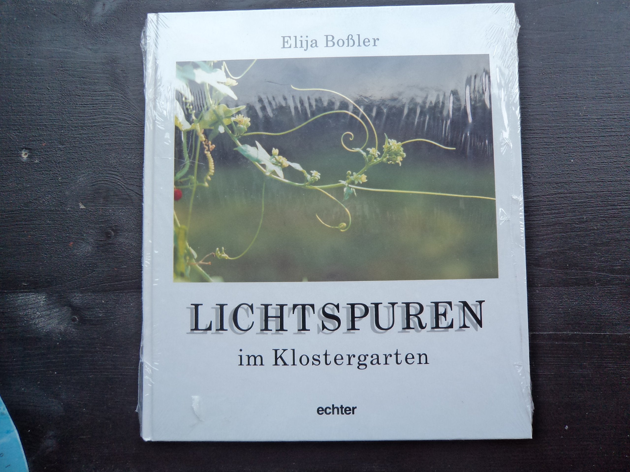 Lichtspuren im Klostergarten Religion & Esotericism