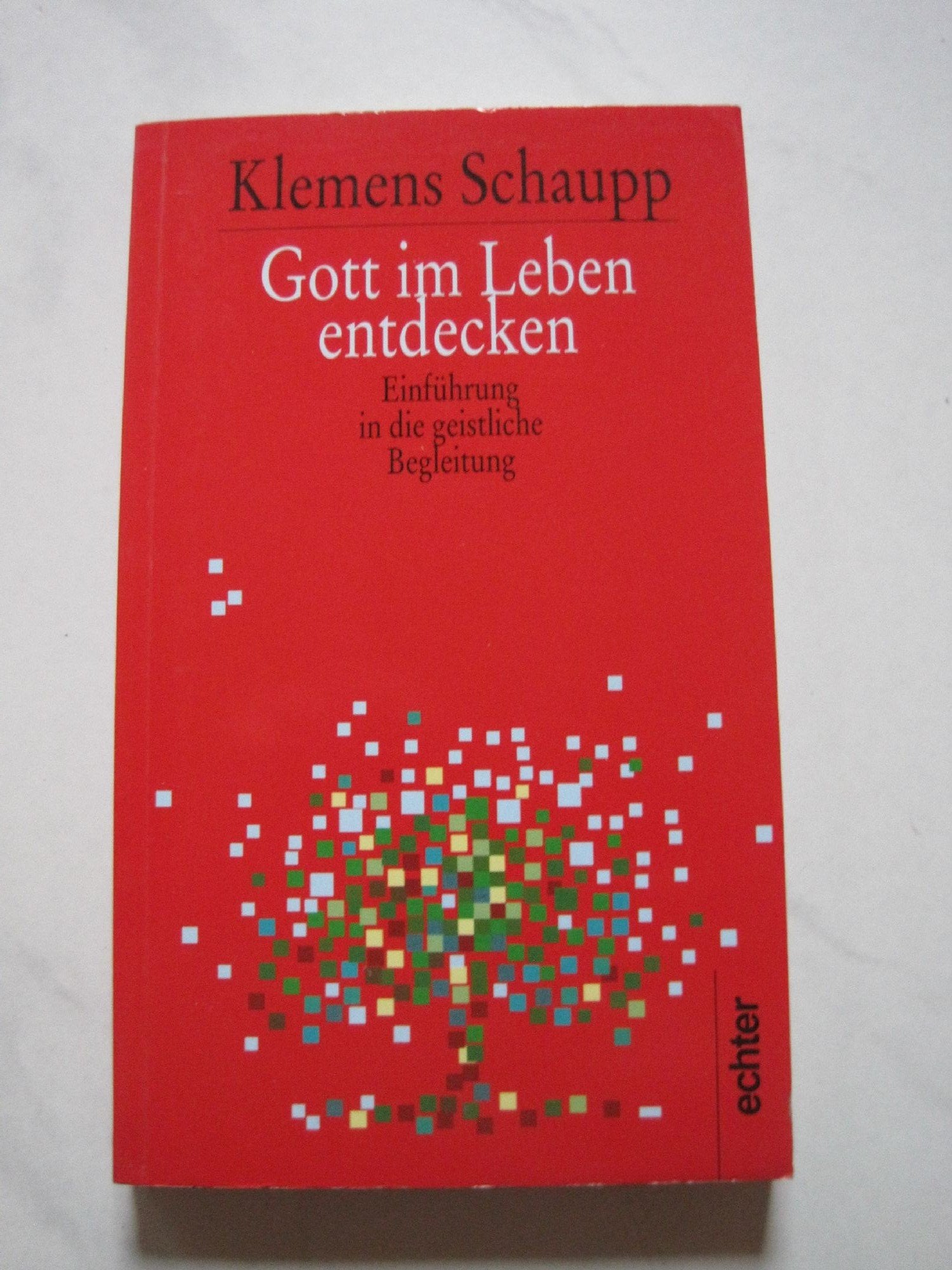 Gott im Leben entdecken: Einführung in die geistliche Begleitung Religion & Esotericism