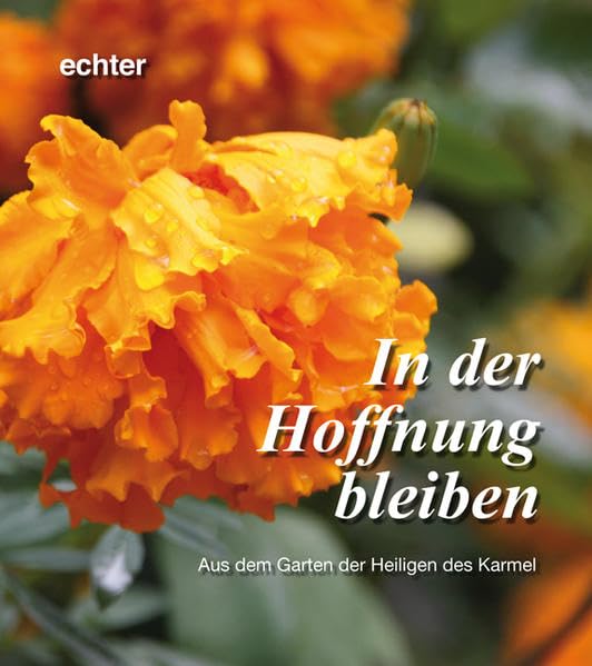 Product Image: In der Hoffnung bleiben