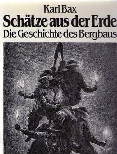 Schätze aus der Erde. Die Geschichte des Bergbaus Social Sciences