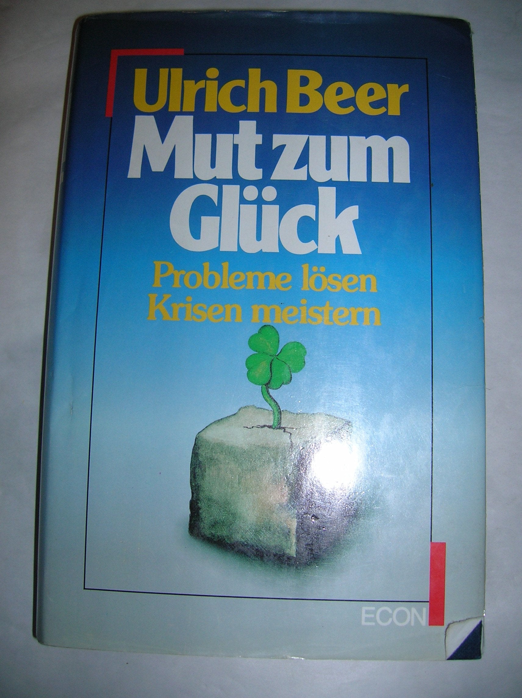 Mut zum Glück. Richtig entscheiden lernen Lifestyle