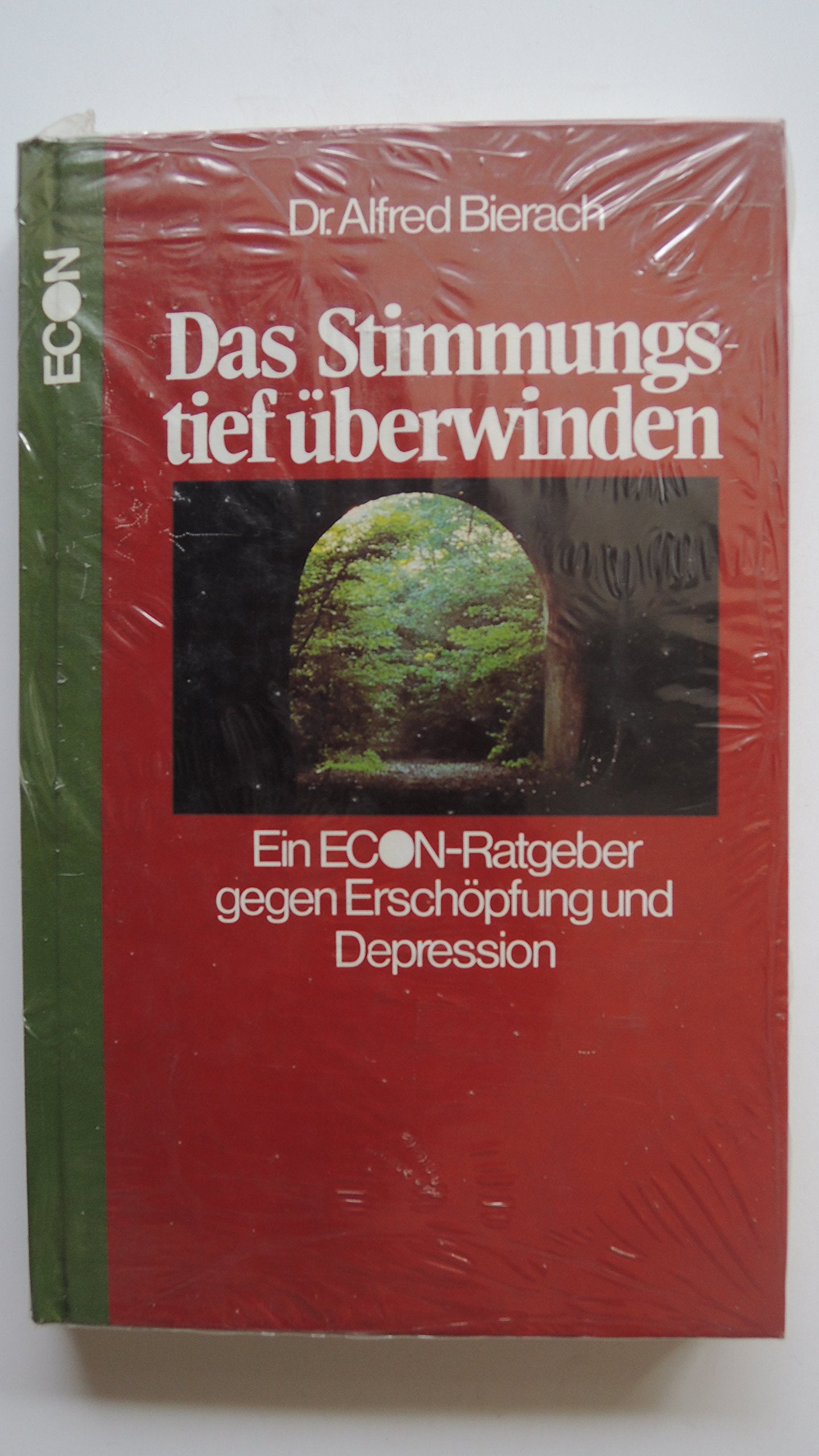 Das Stimmungstief überwinden. Econ- Ratgeber gegen Erschöpfung und Depression Health, Nutrition & Fitness
