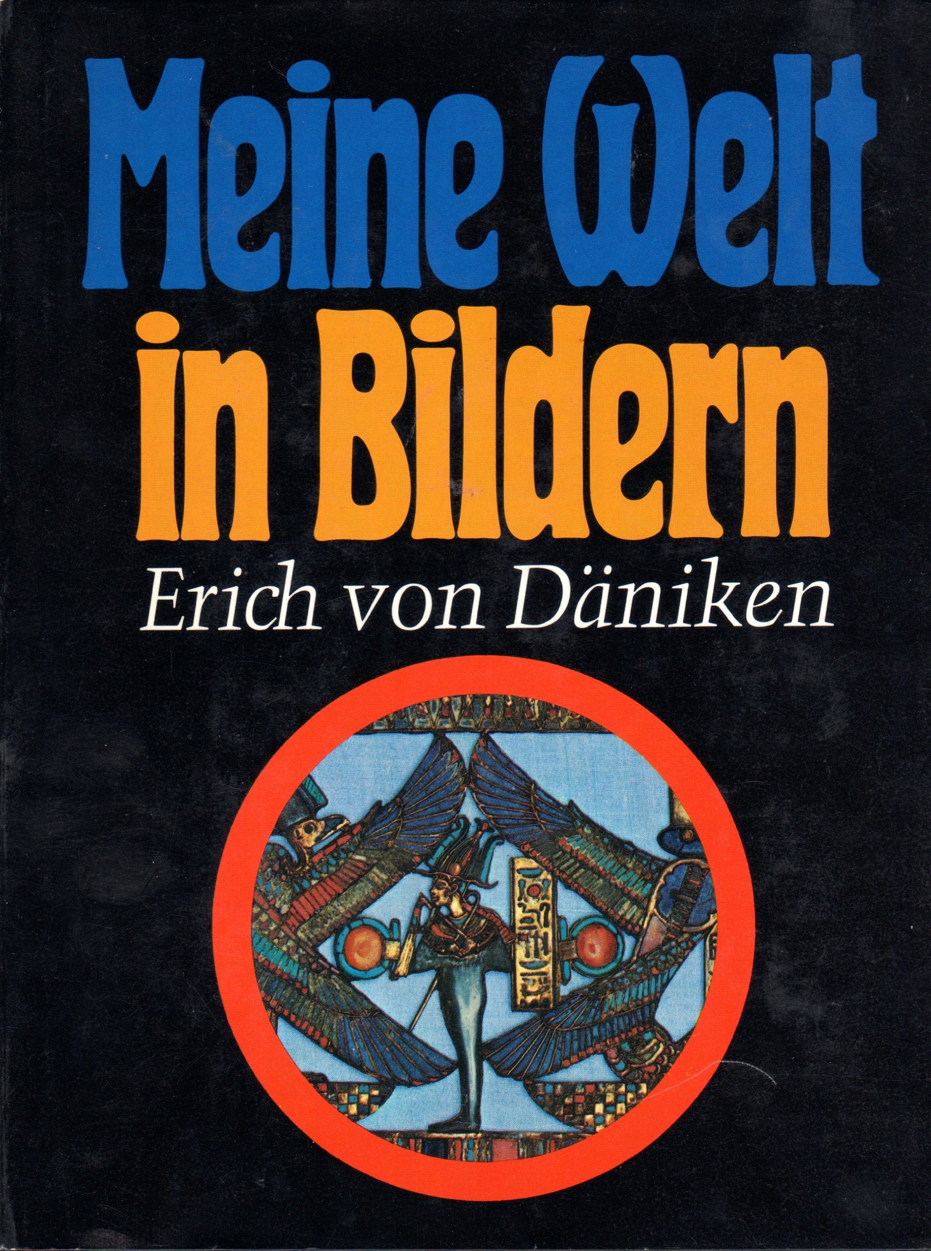 Meine Welt in Bildern. Bildargumente für Theorien, Spekulationen und Erforschtes Photography