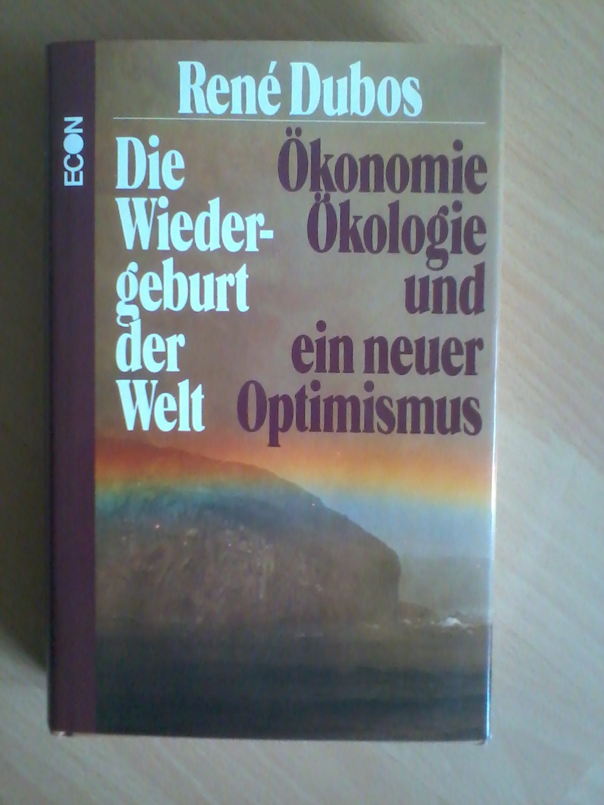 Die Wiedergeburt der Welt. Ökonomie, Ökologie und ein neuer Optimismus Philosophy