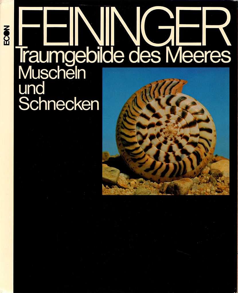 Traumgebilde des Meeres, Muscheln und Schnecken Photography
