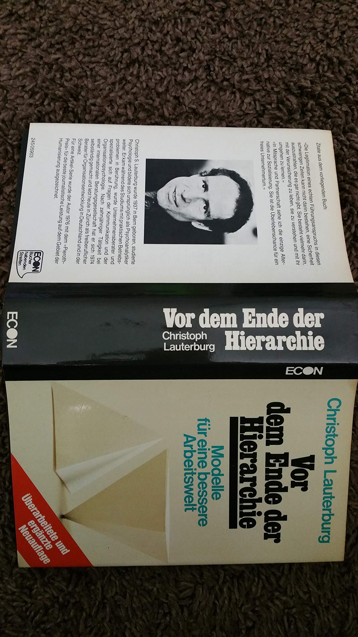 Vor dem Ende der Hierarchie. Modelle für eine bessere Arbeitswelt Social Sciences
