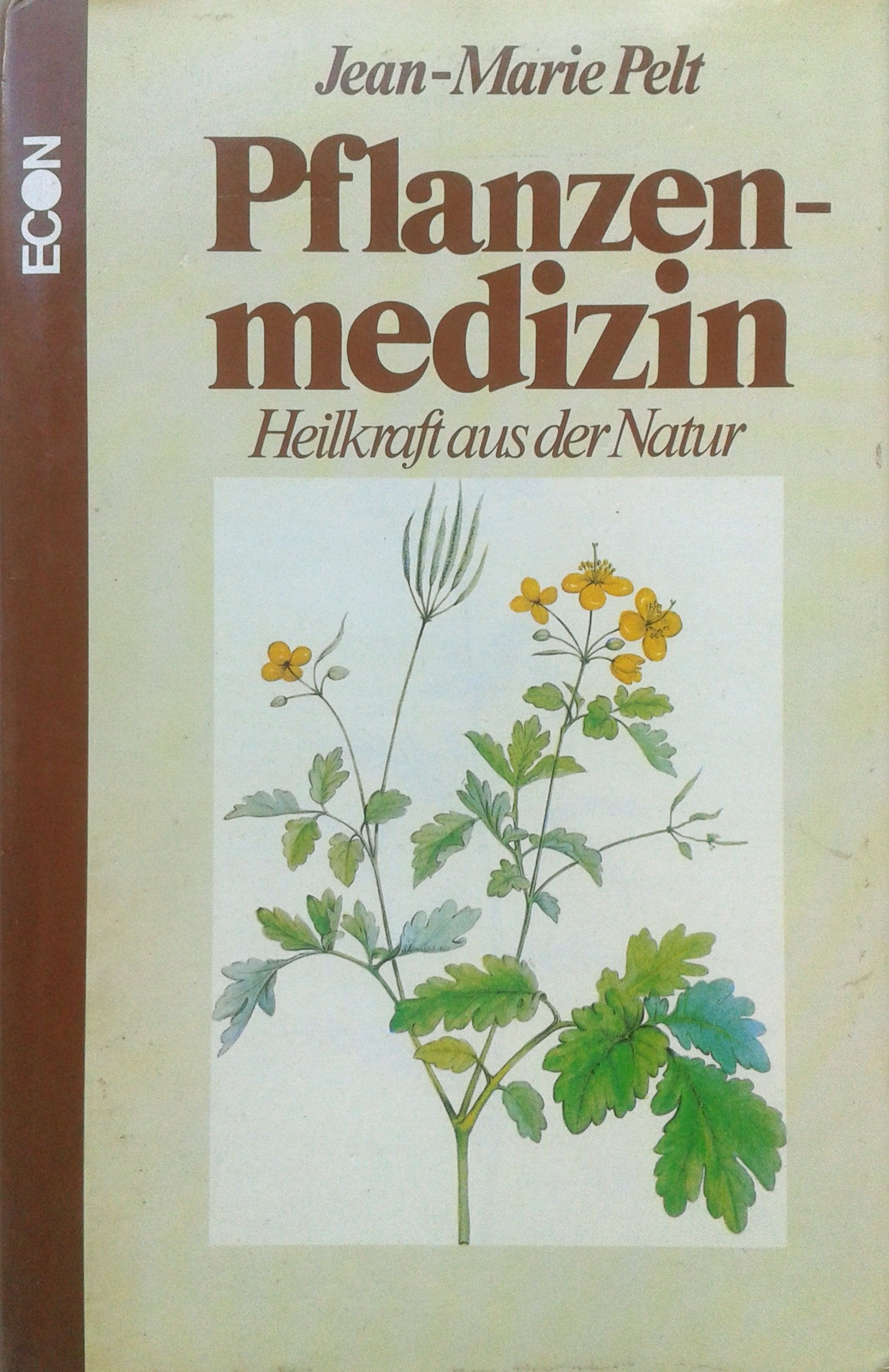 pflanzenmedizin. heilkraft aus der natur Medicine