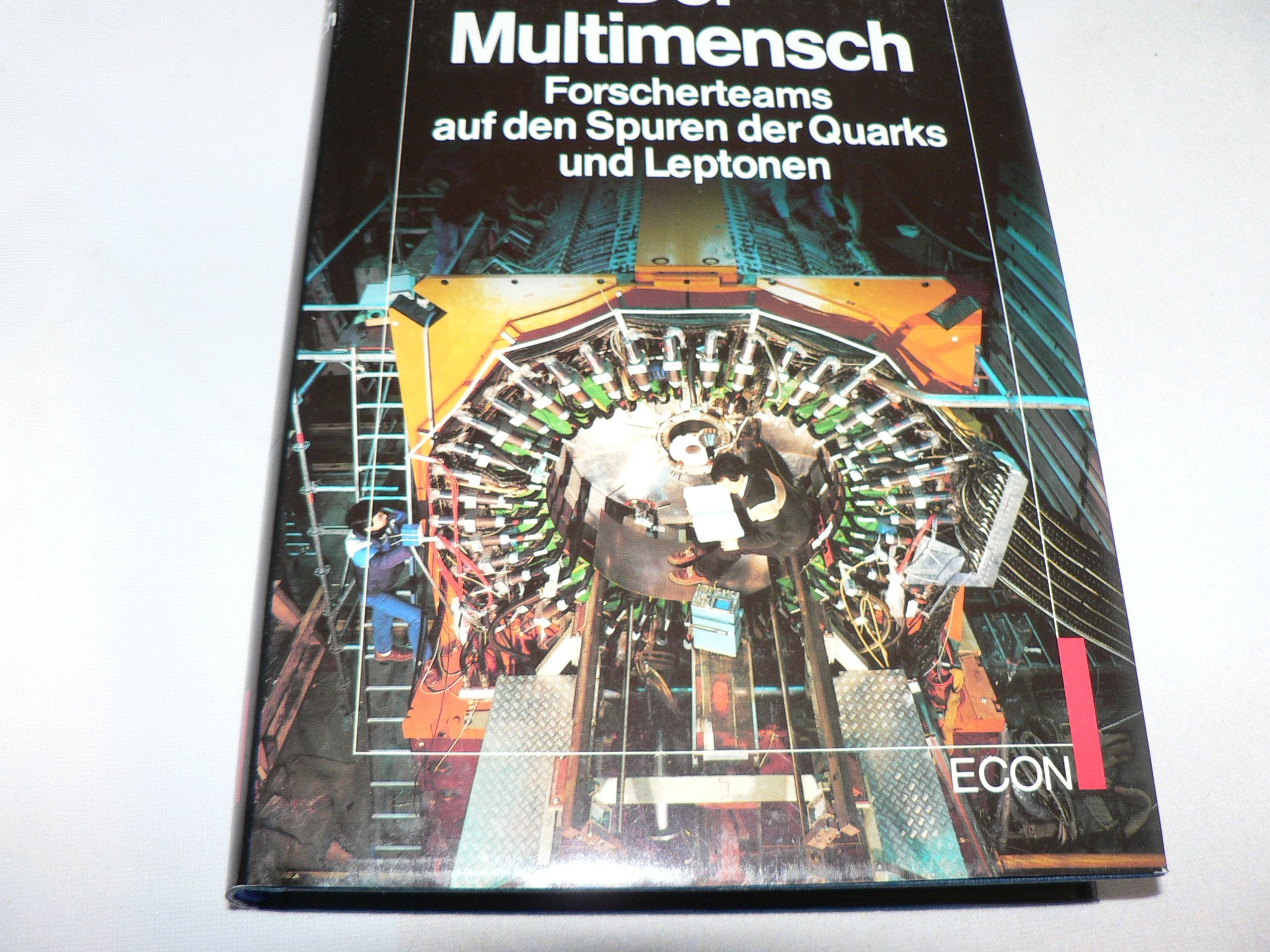Der Multimensch. Forscherteams auf den Spuren der Quarks und Leptonen Business & Technology
