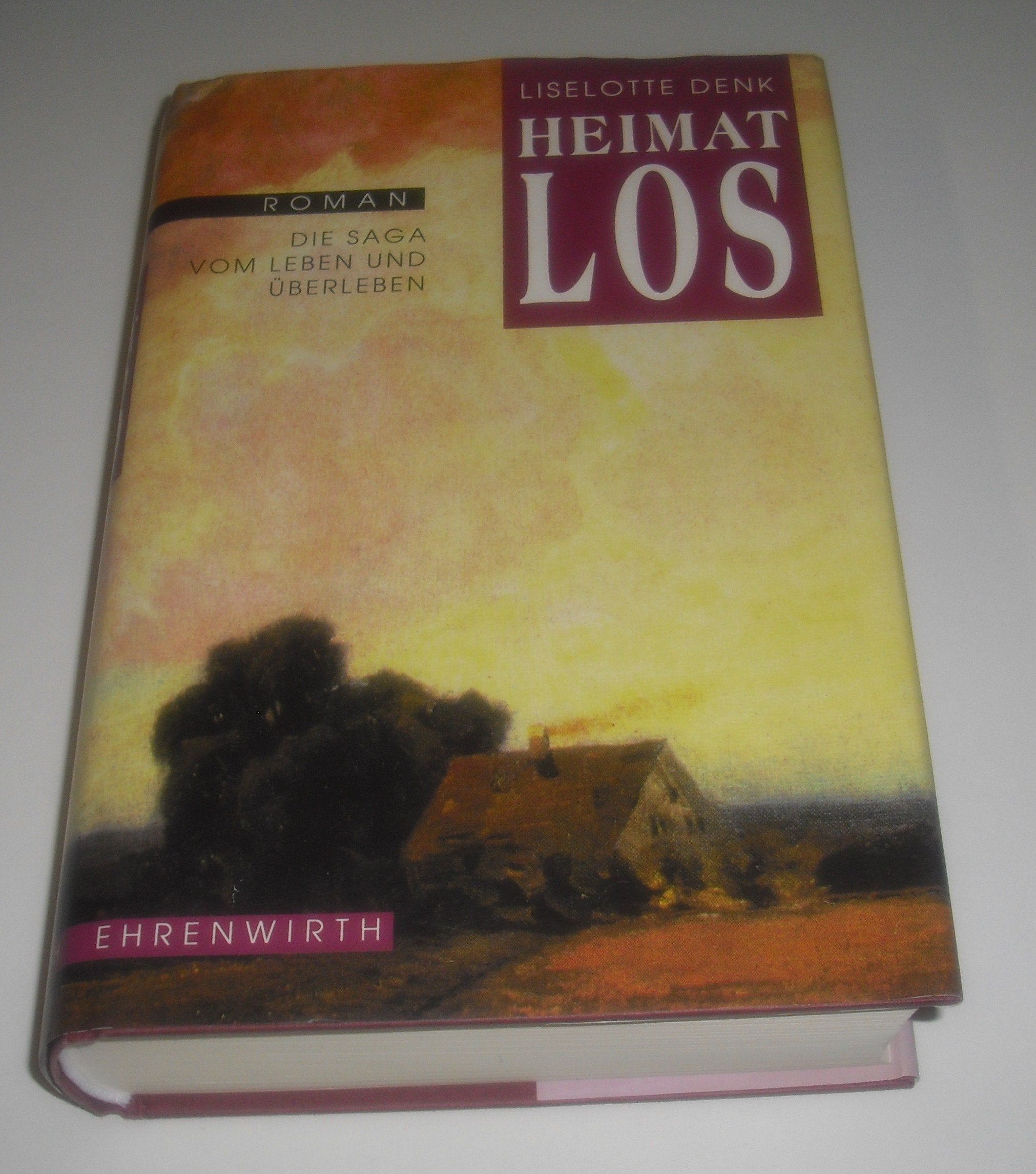 Heimat Los: Die Saga vom Leben und Überleben Books