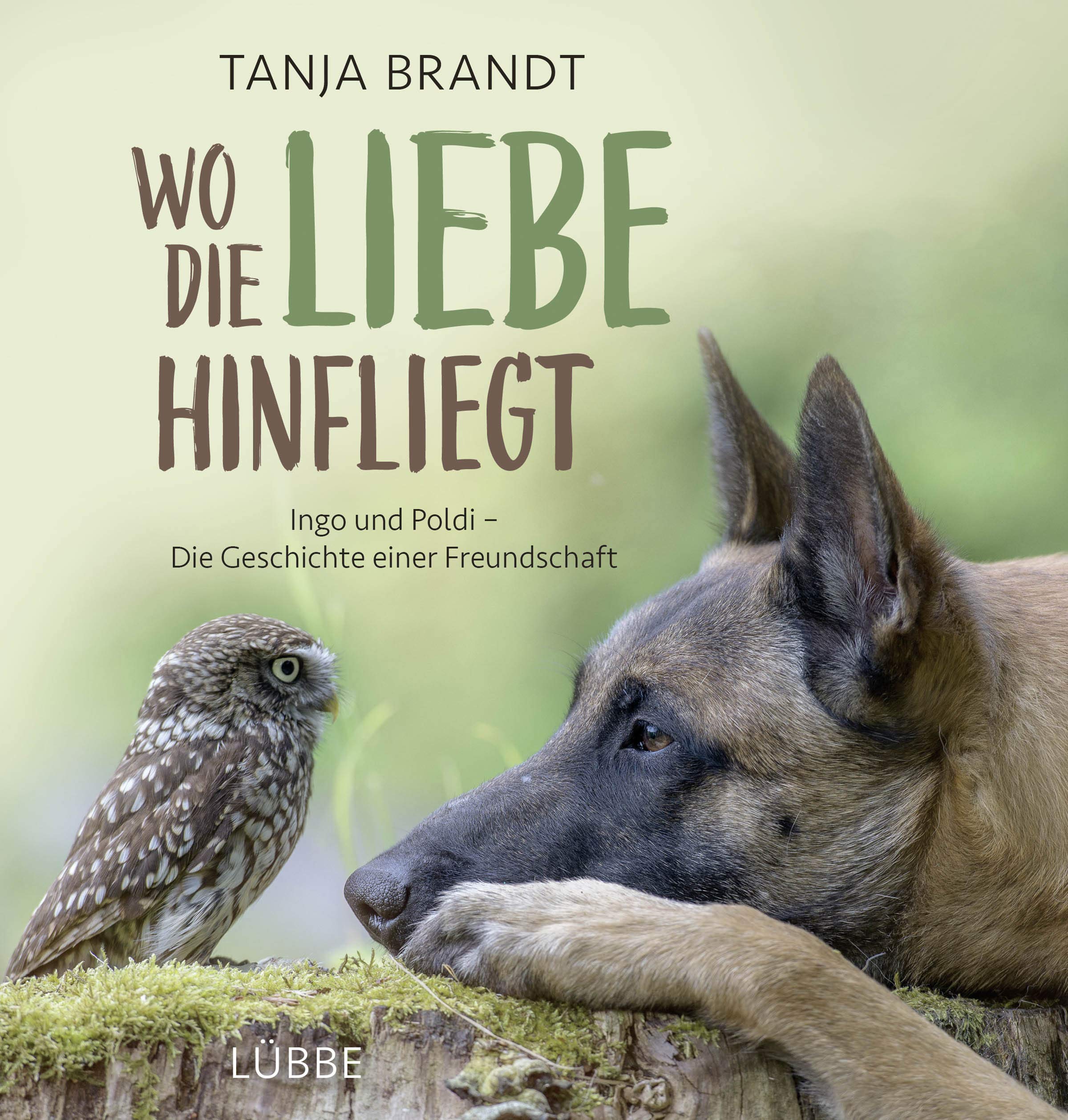 Wo die Liebe hinfliegt Social Sciences