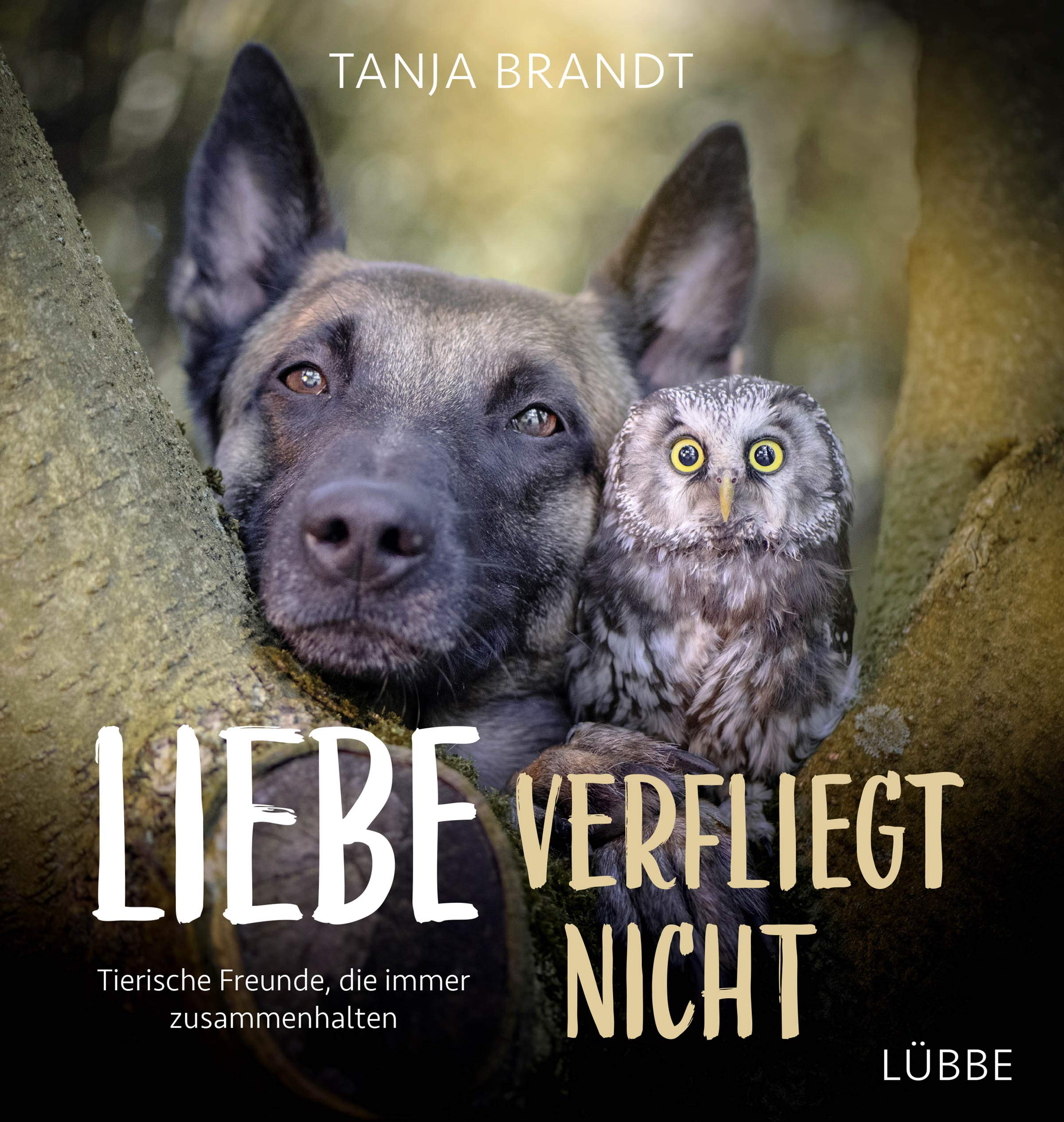 Liebe verfliegt nicht Sports